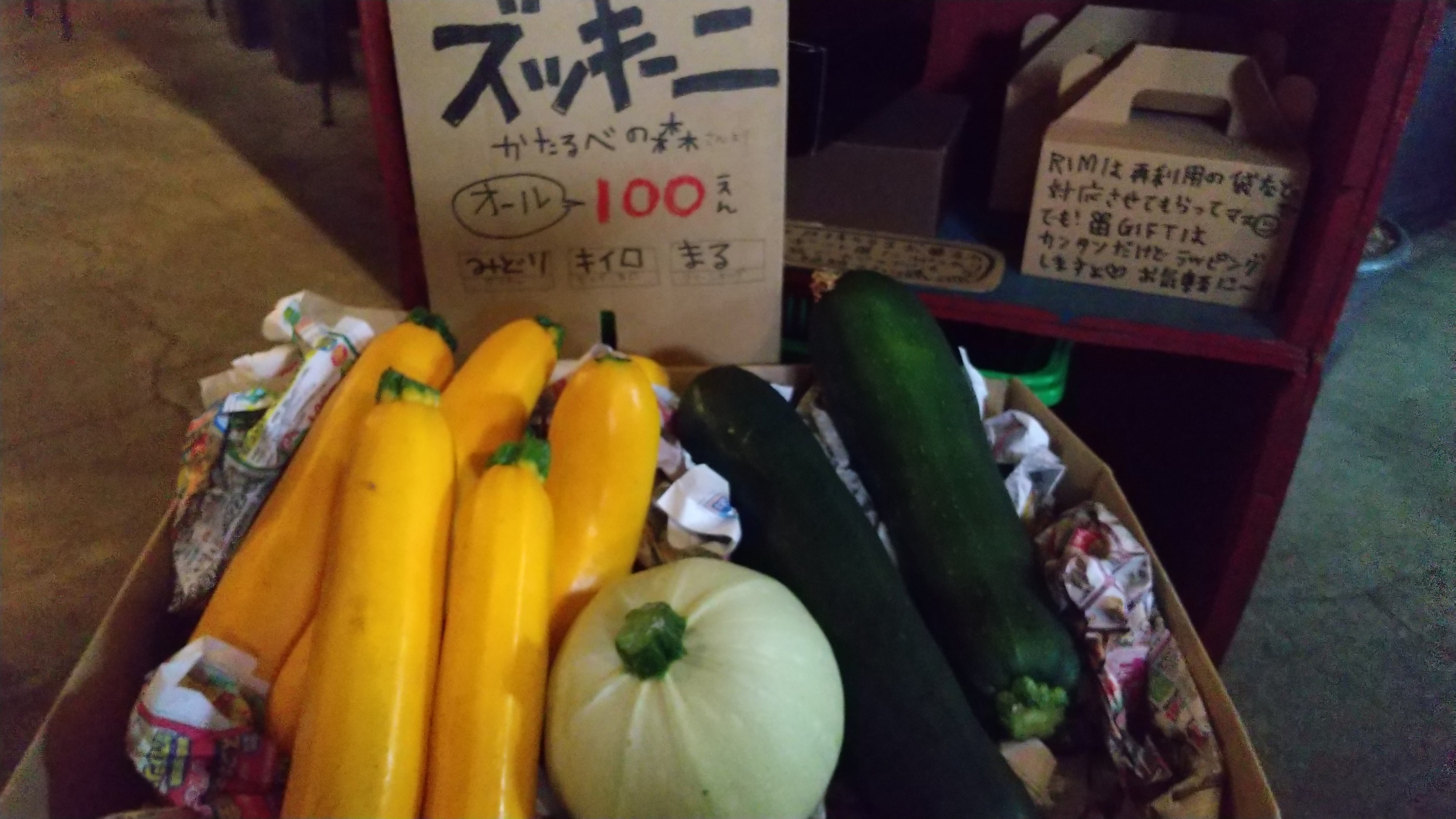 ズッキーニ！！！オール百円なり！