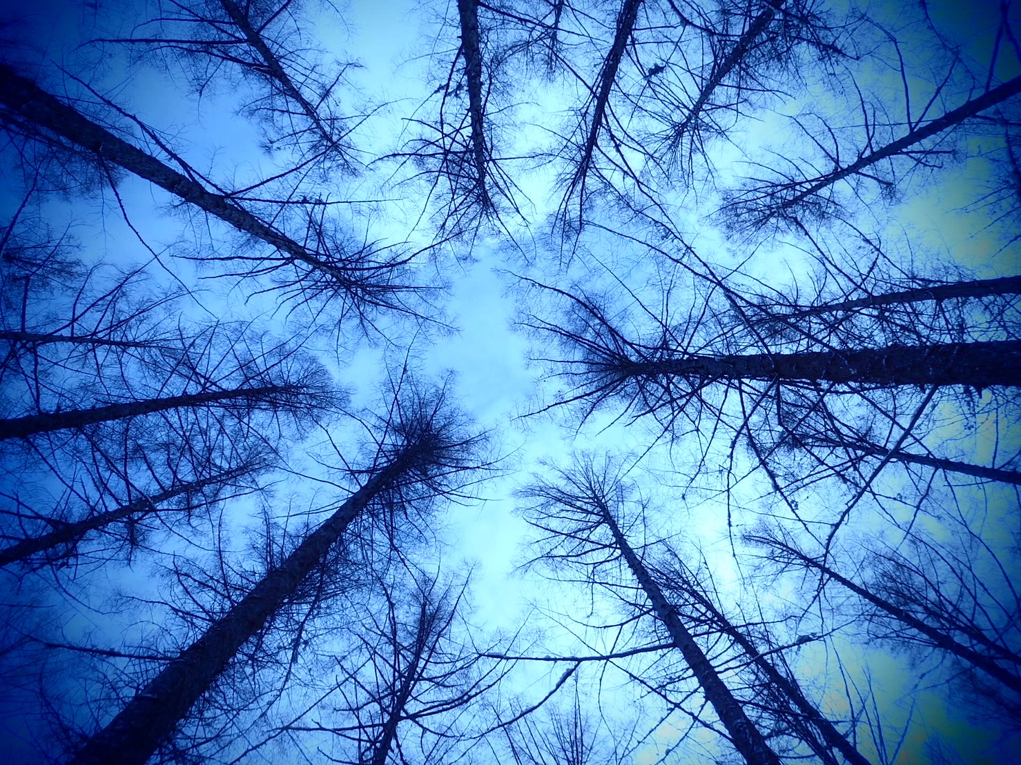 大切なのは『今』だよ！！