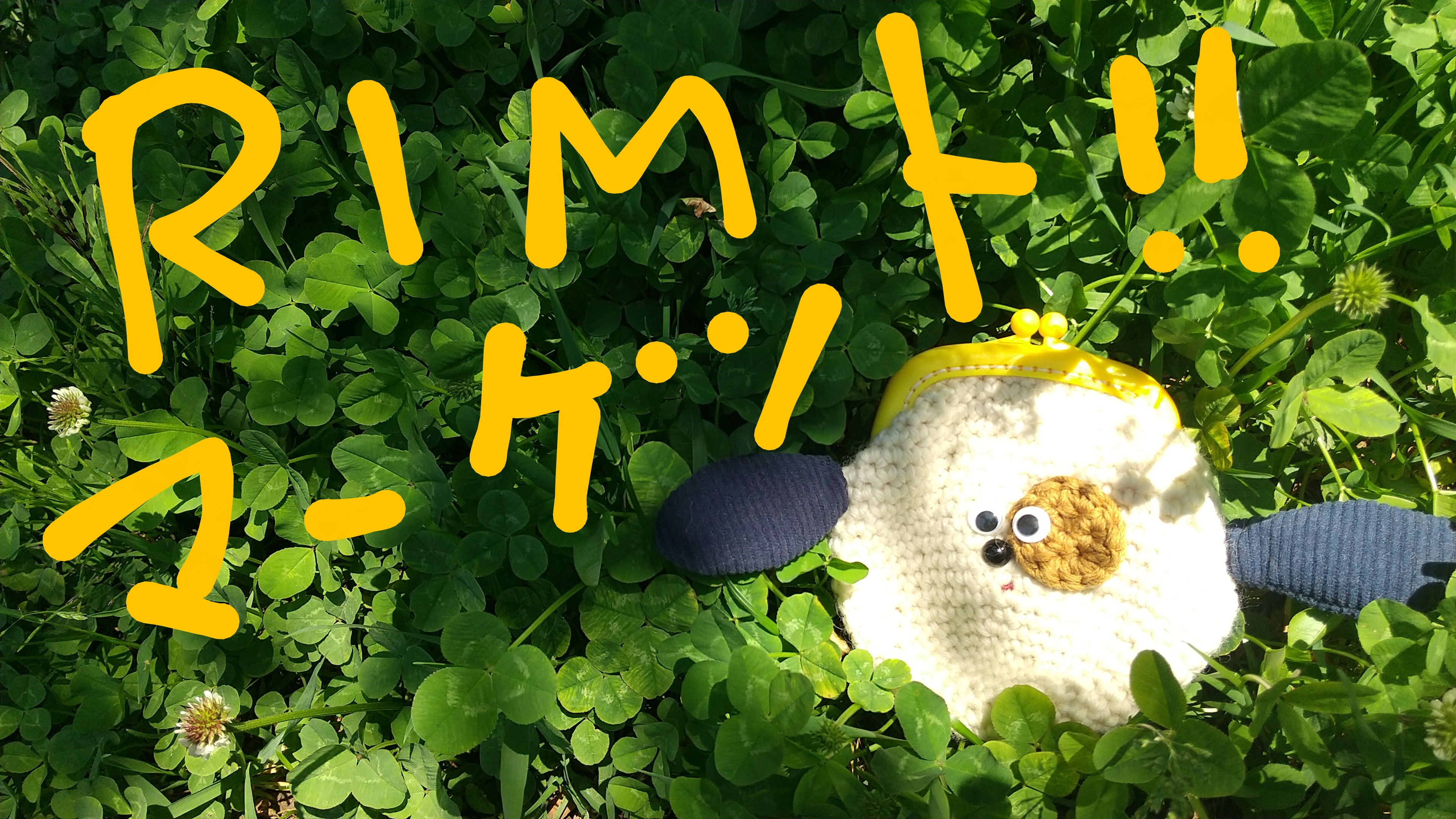 ６月28＆29日はりむMARKETダヨ！