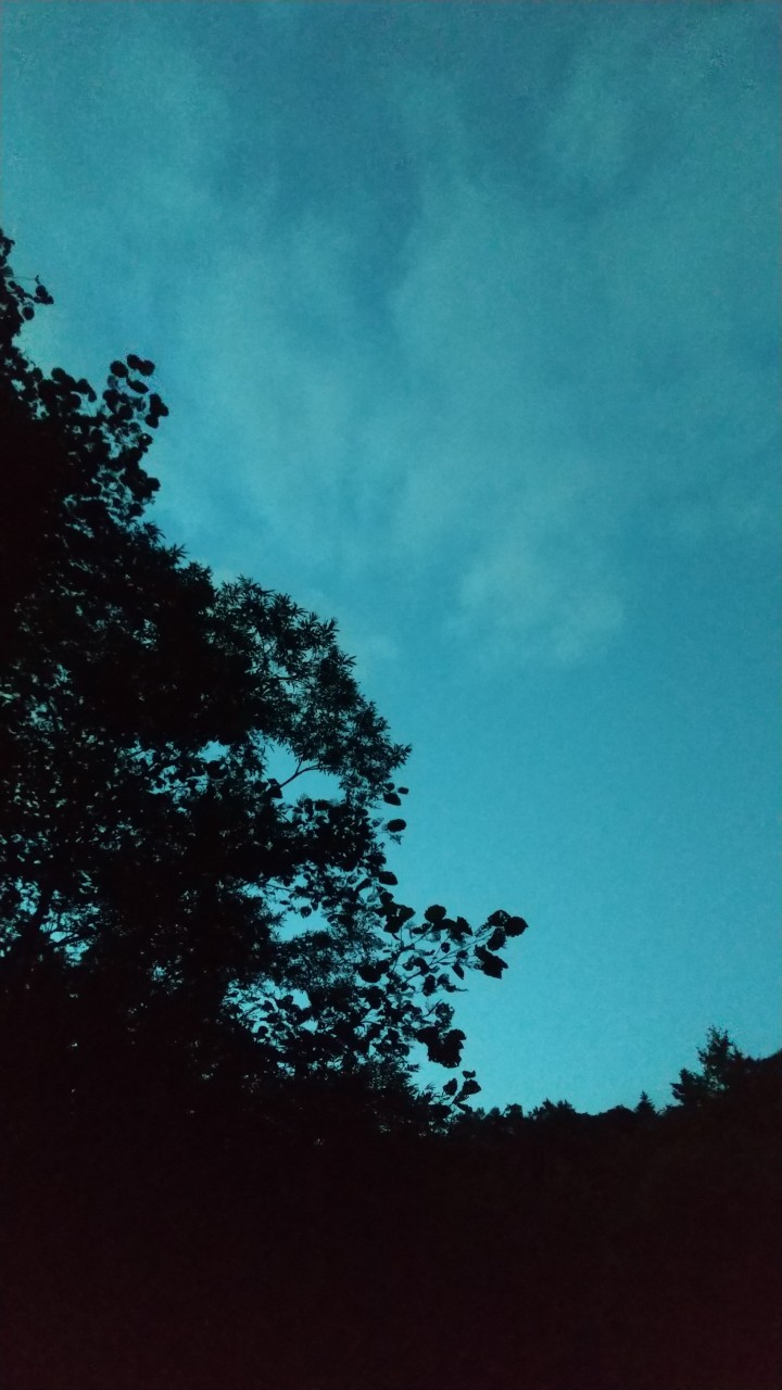 空をいっぱいみてきたよー！！