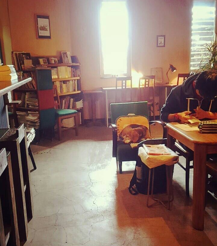 チャリ屋りむのことでお願いあります🙏