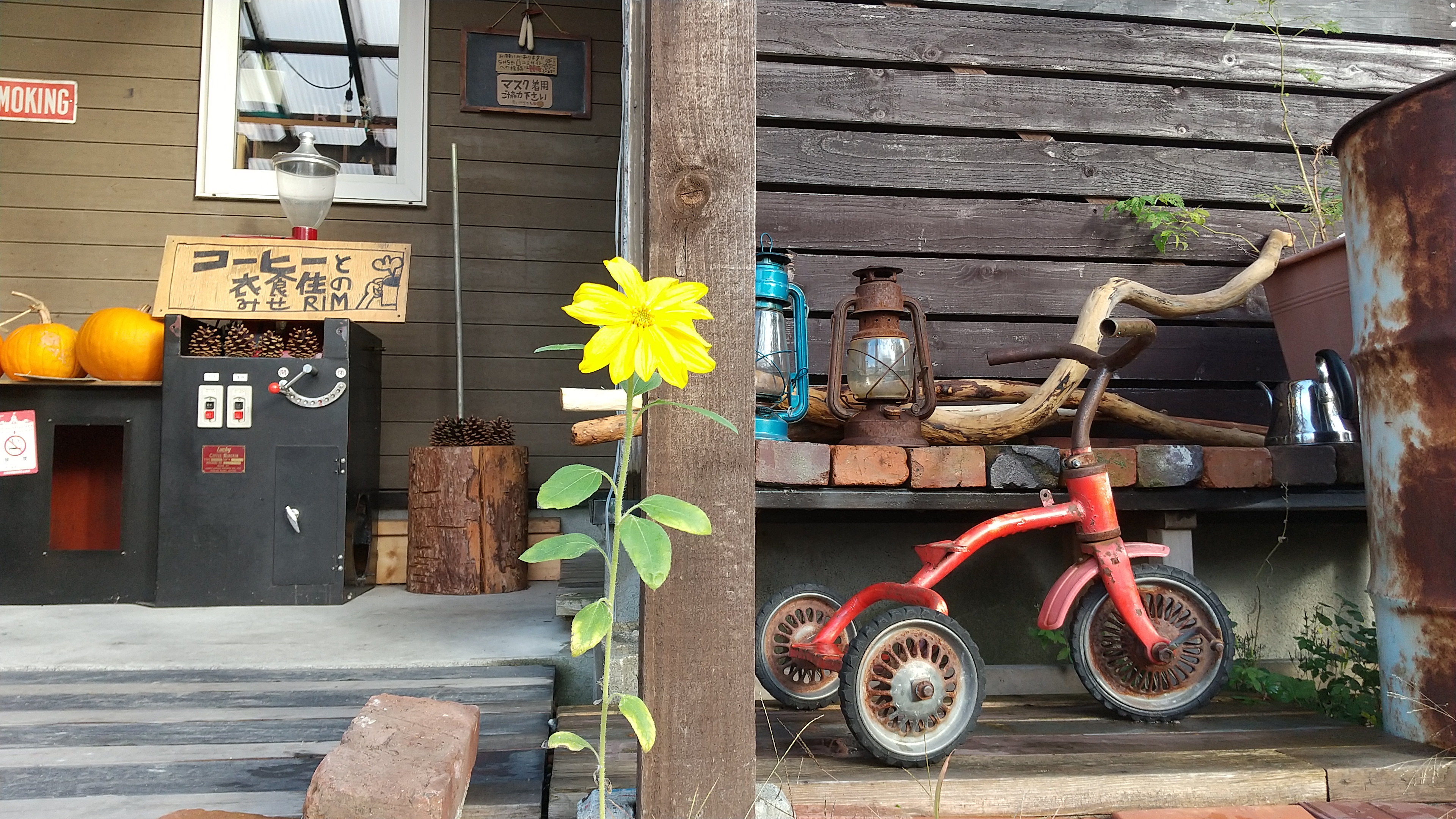 くつした！ココア！水曜日のこと！