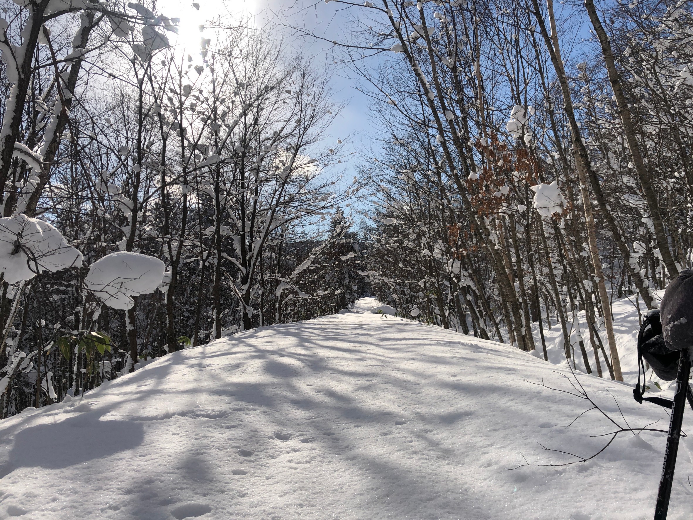 ８日だよ！自然の中の至福の巻。