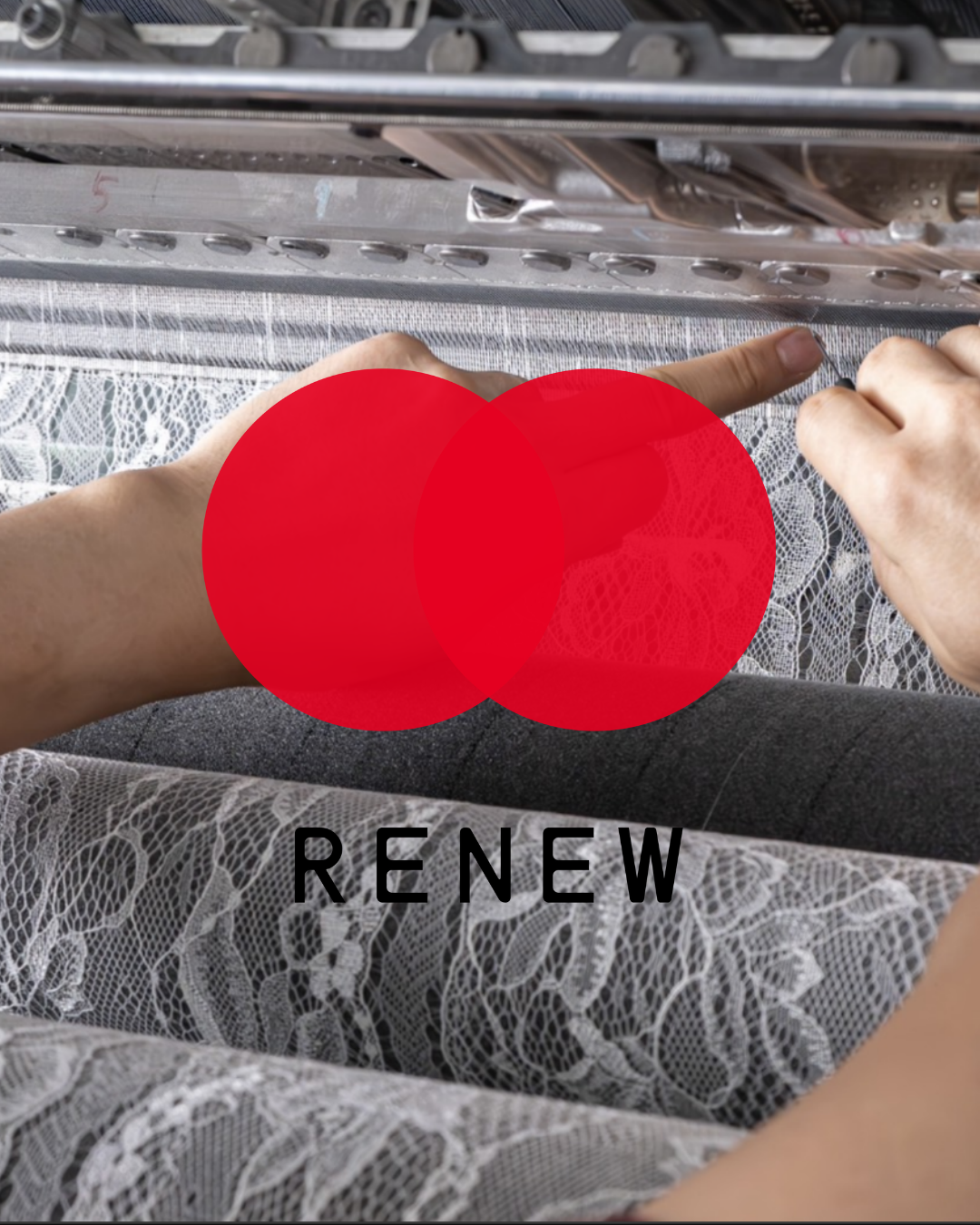 RENEW/2025今年も参加します