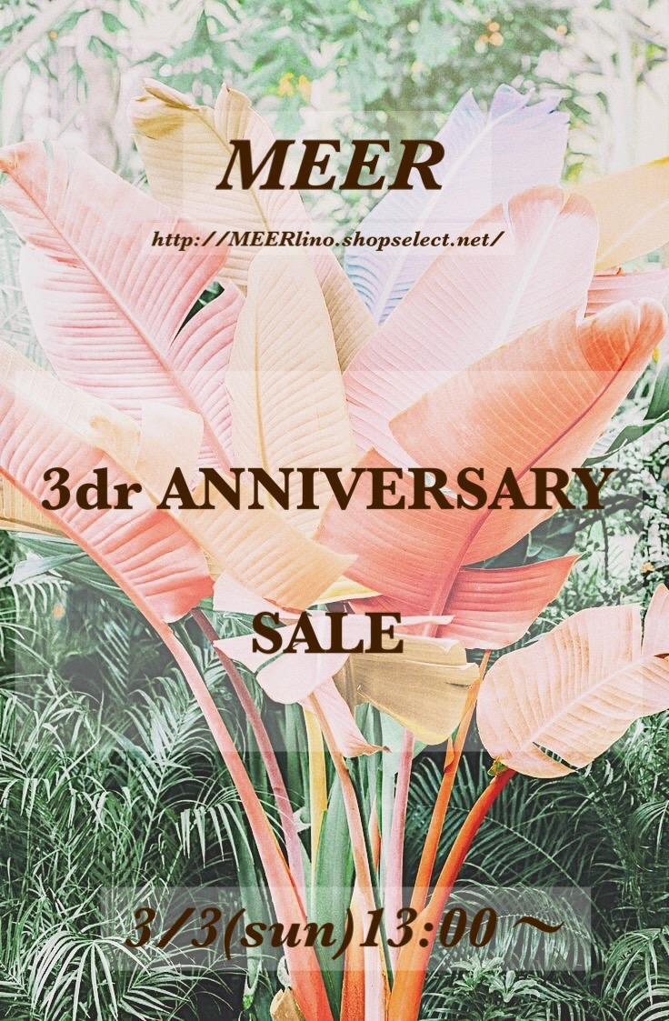 3rd anniversary sale