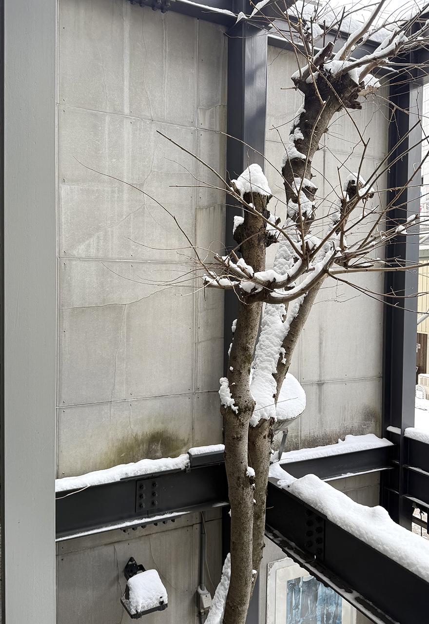 積雪がありました