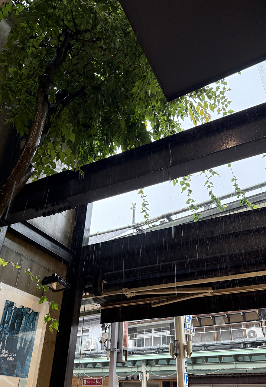 今朝は雨模様