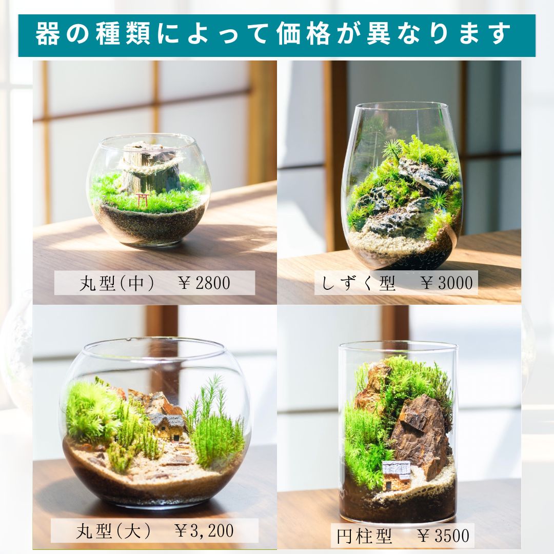 すみれのワークショップ