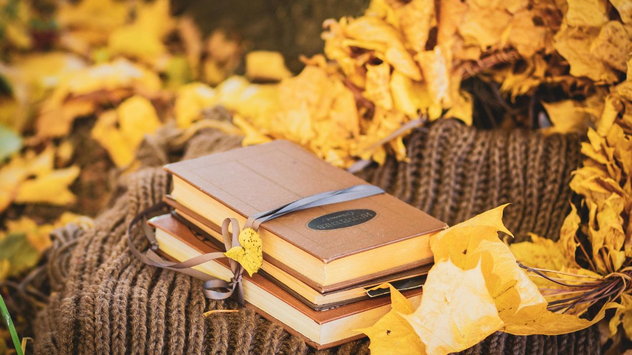 小さな秋みつけた。読書セラピーで心に灯りをともす時間