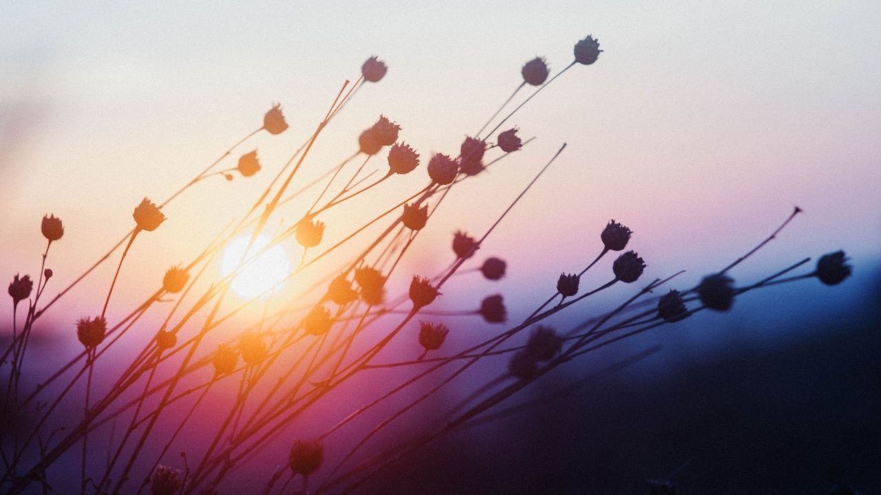 【店主のひとりごと】太宰治賞に応募して