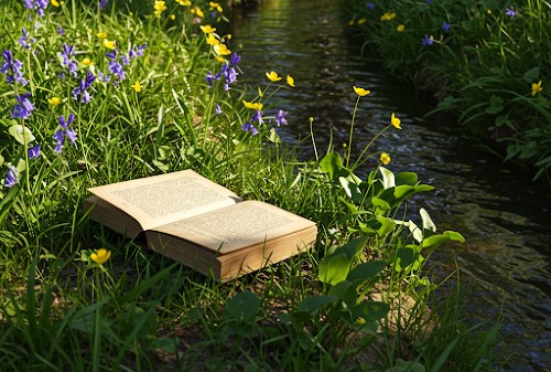 人生に迷った時に読む本として選びたい、自分を見つめ直す5冊【柚香の森セレクション】