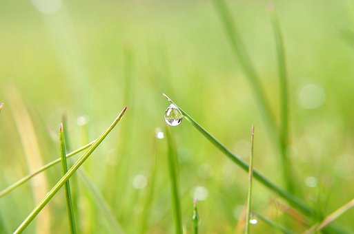 雨の降る日は天気が悪い