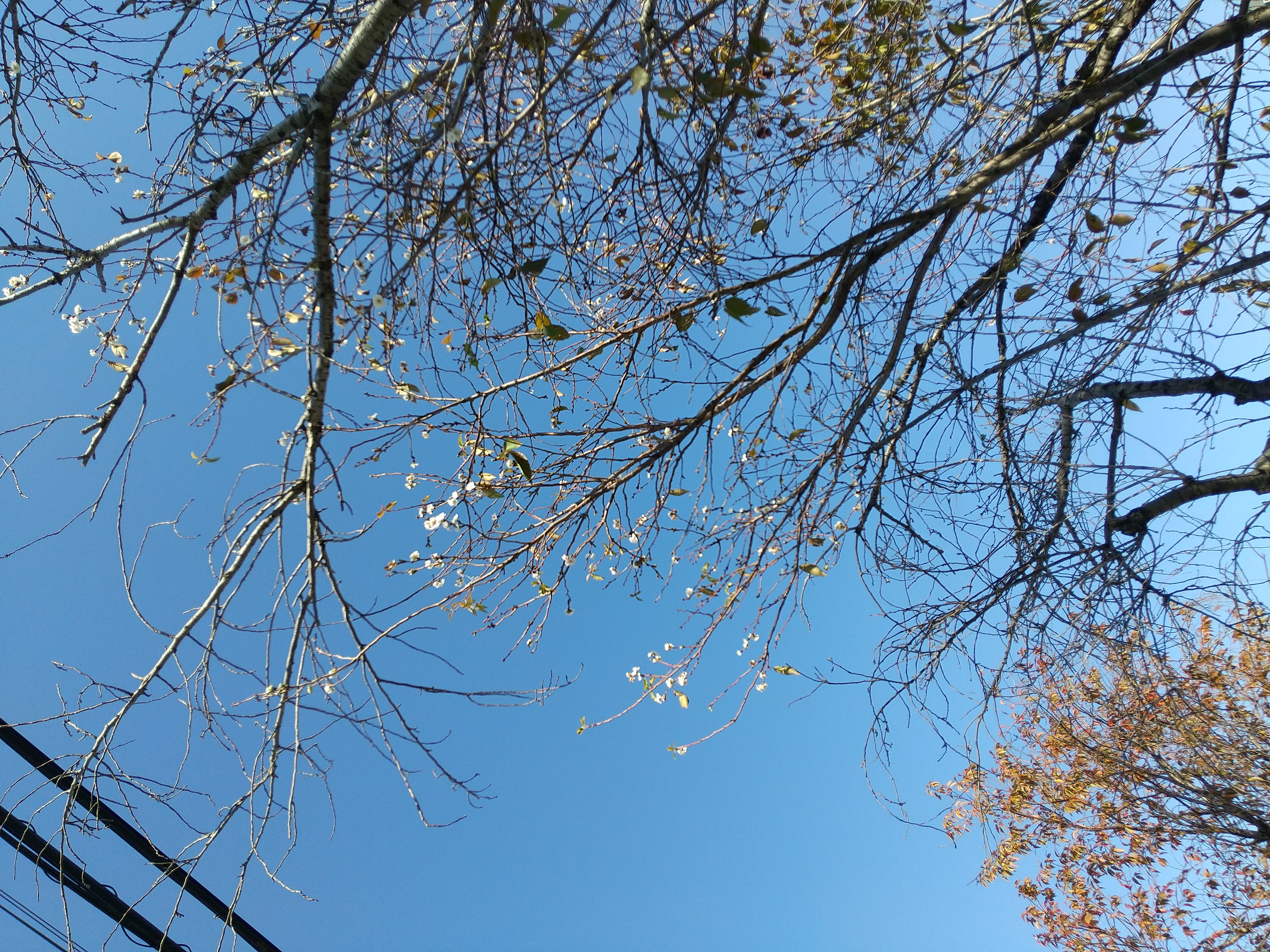 年末年始のお知らせです