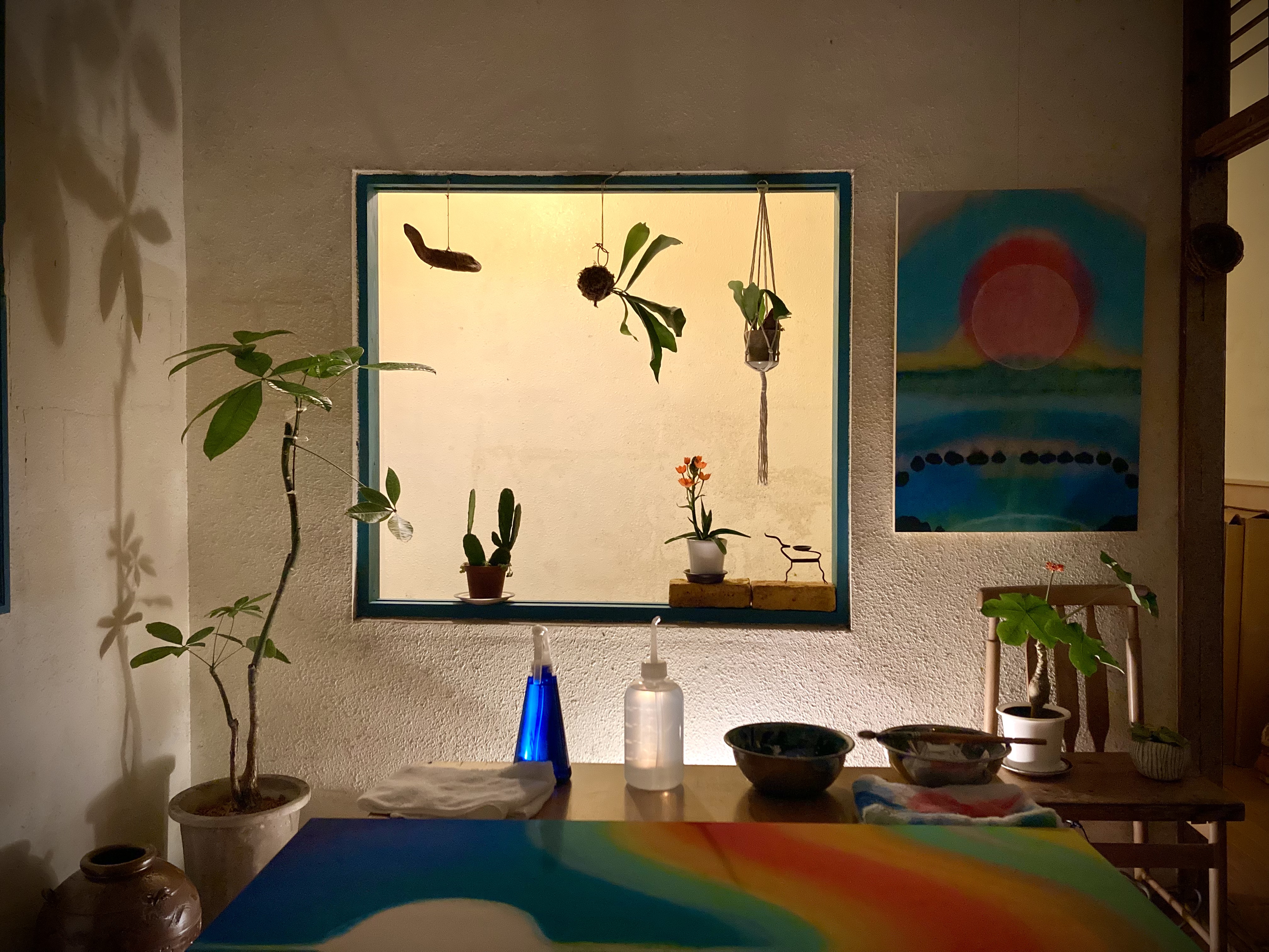 八重山コレクション