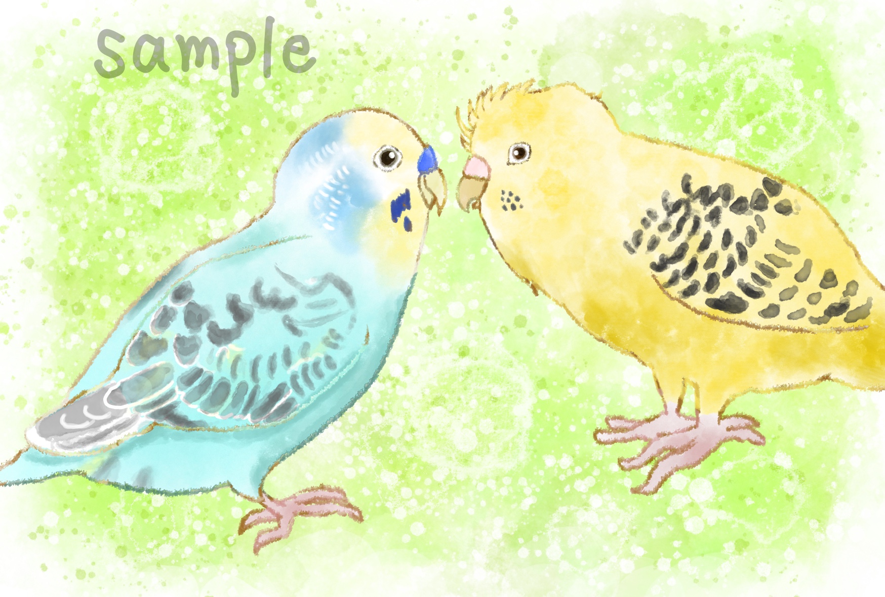 【イラストオーダー】セキセイインコちゃん2羽描かせて頂きました。