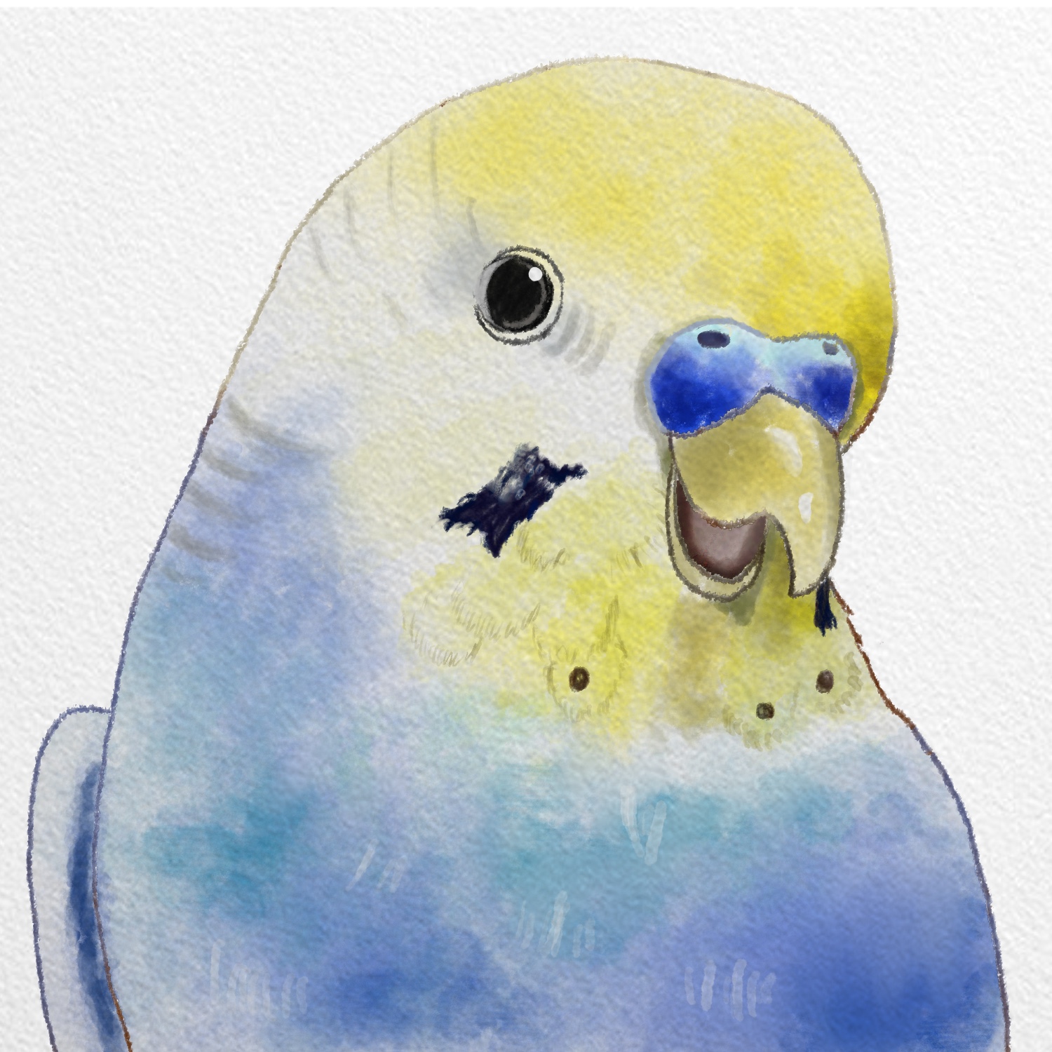 【イラストオーダー】缶バッジ用のイラストを描かせて頂きました🕊️