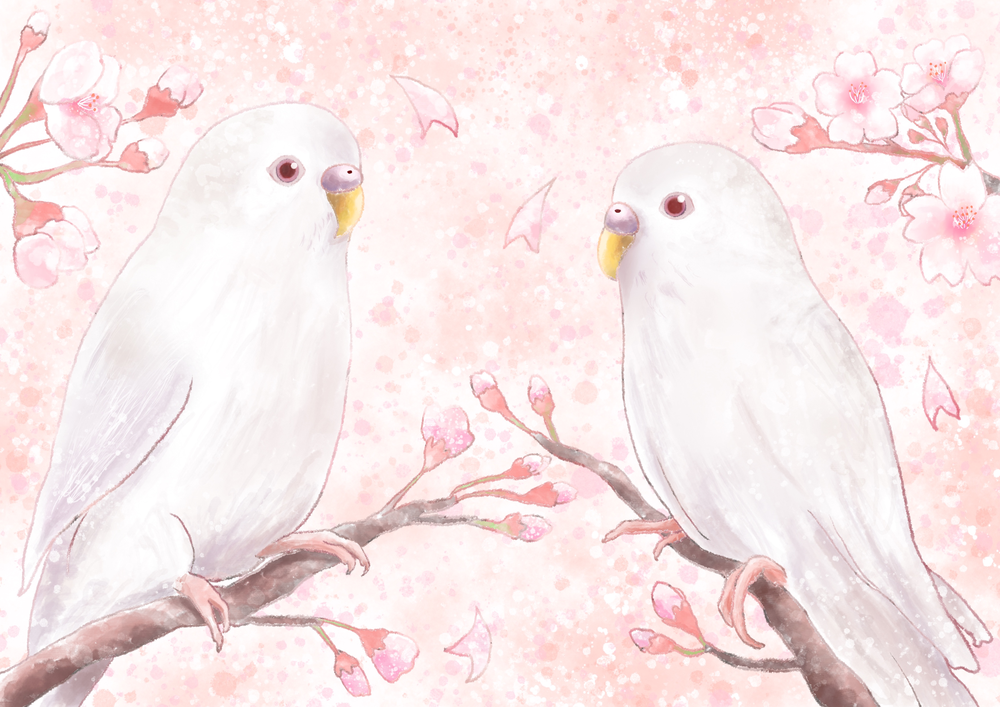 【イラストオーダー】セキセイインコちゃん2羽描かせて頂きました。