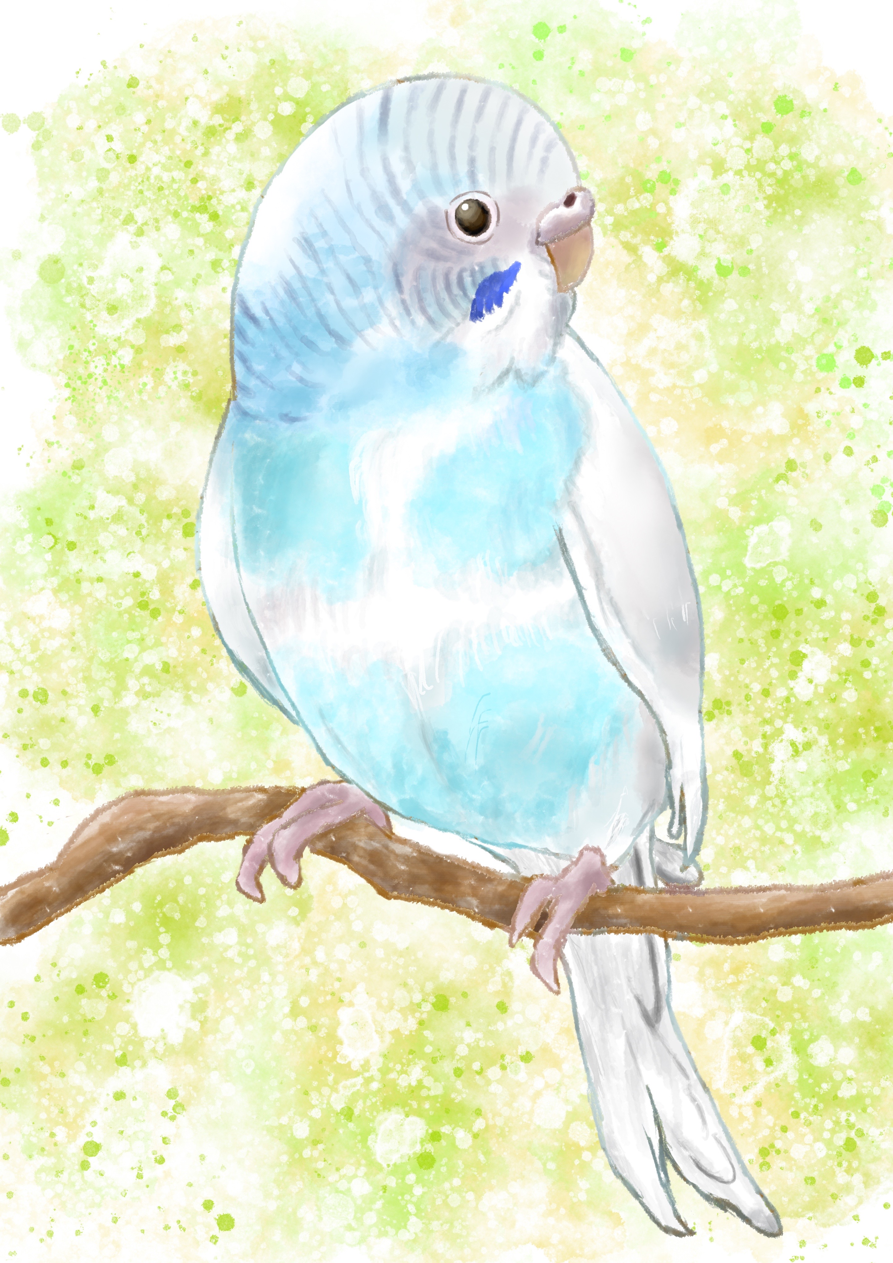 【イラストオーダー】セキセイインコちゃん描かせて頂きました。