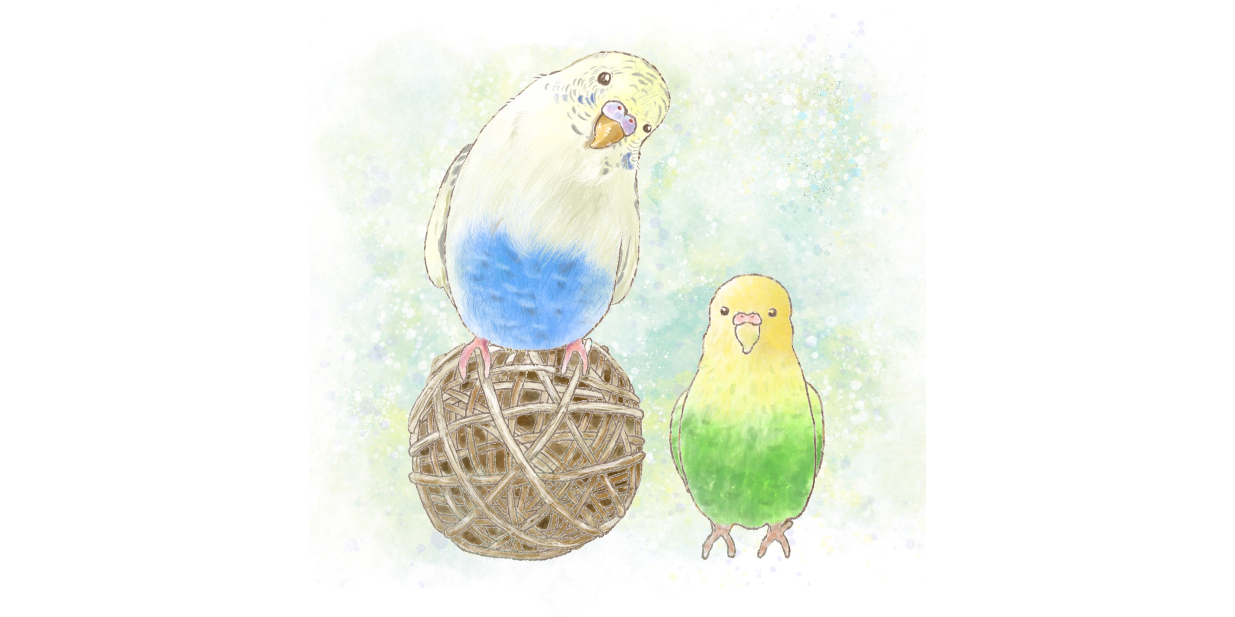 【イラストオーダー】ぽぴ様🤍