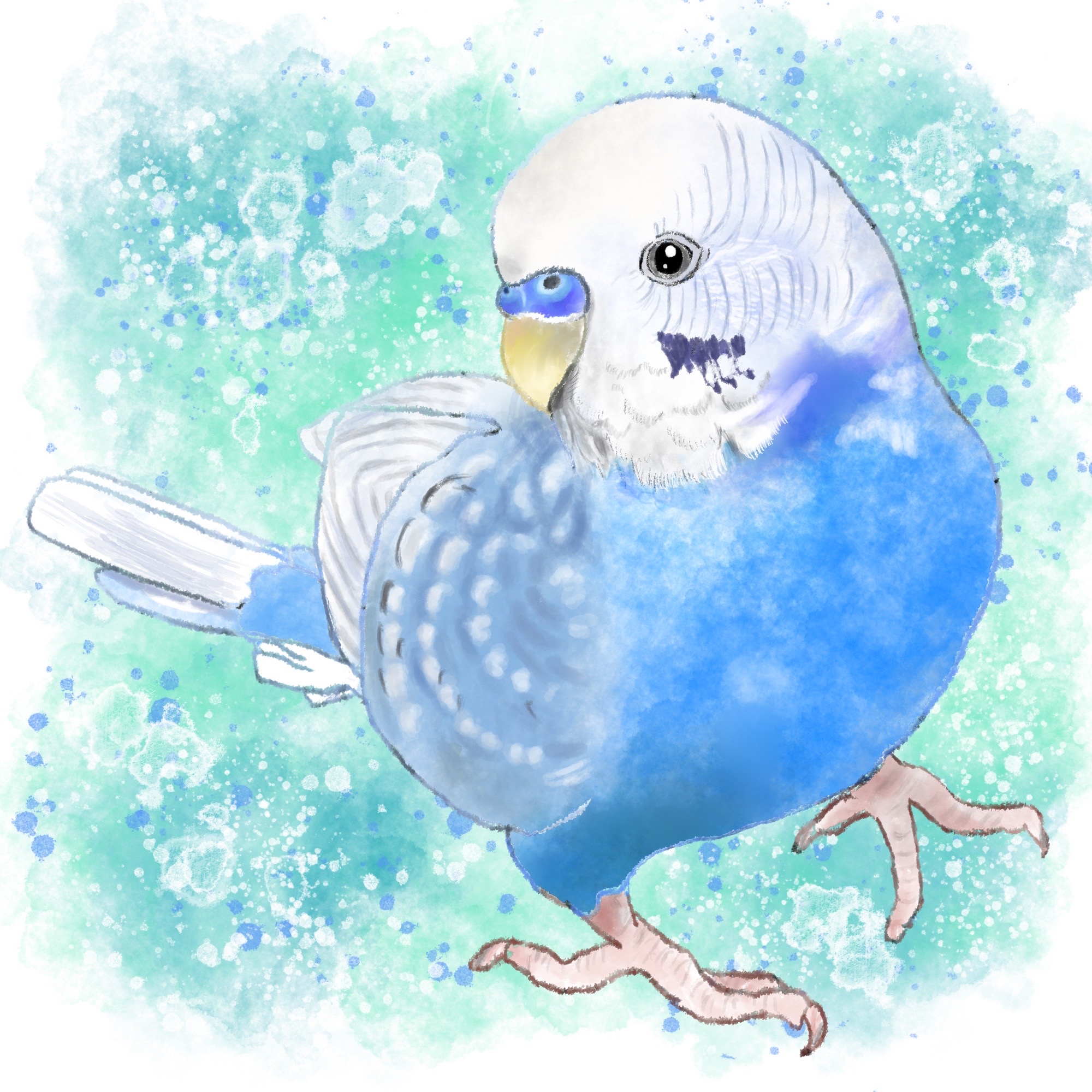 【イラストオーダー】セキセイインコちゃん描かせて頂きました🕊️