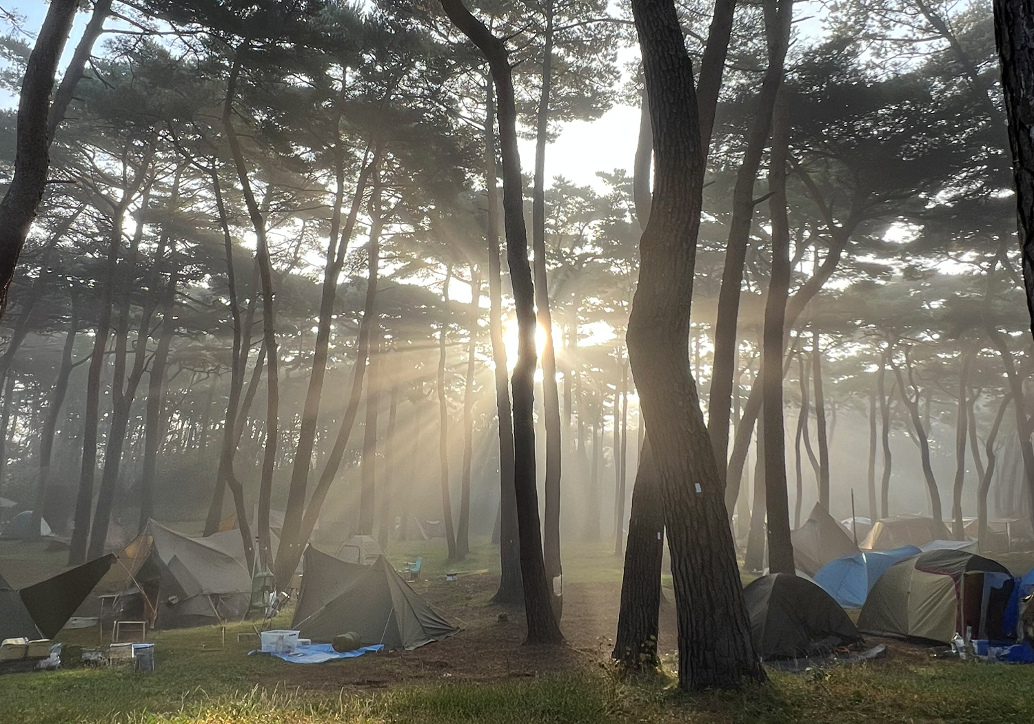 キャンプと写真、その4「虫よサラバ」