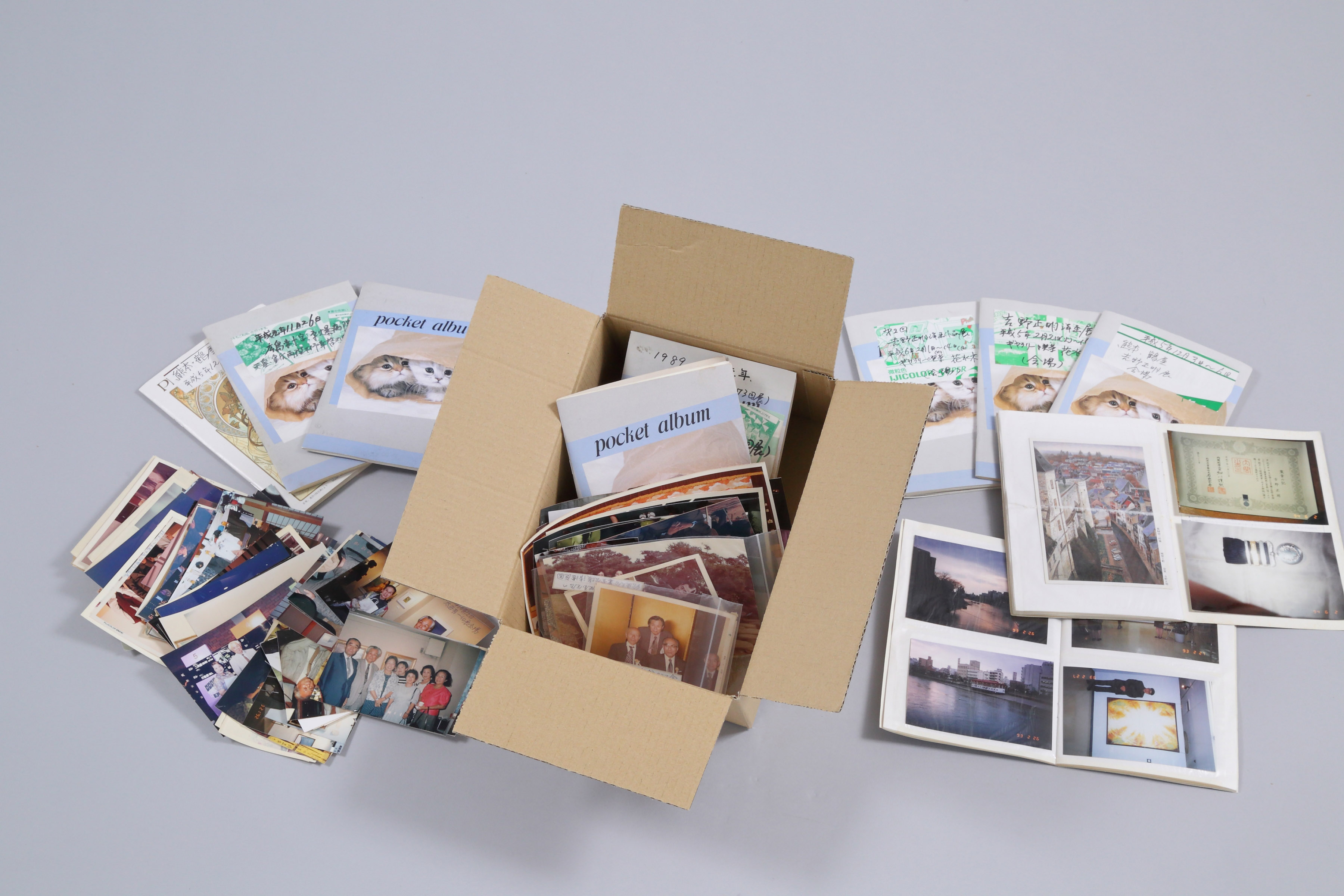 写真をデジタル化した後の活用術5選