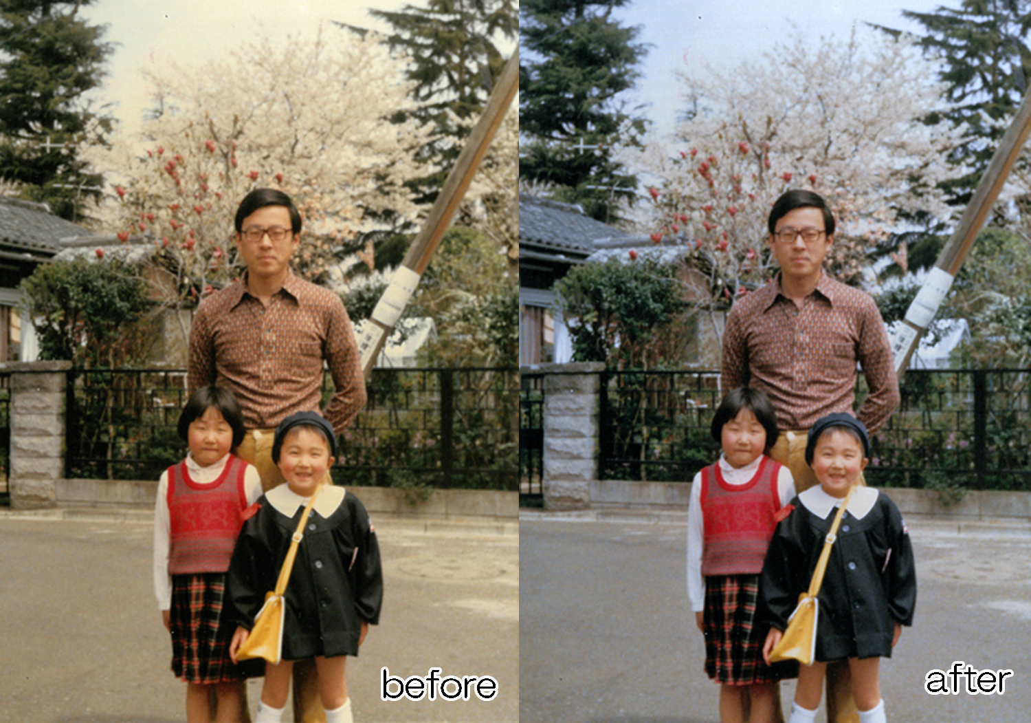 写真のデータ化を注文する前に確認したい6つのこと