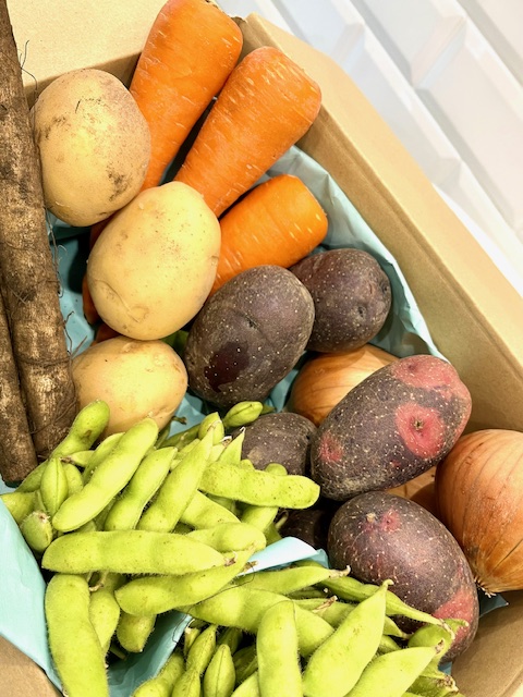 野菜の詰合せ