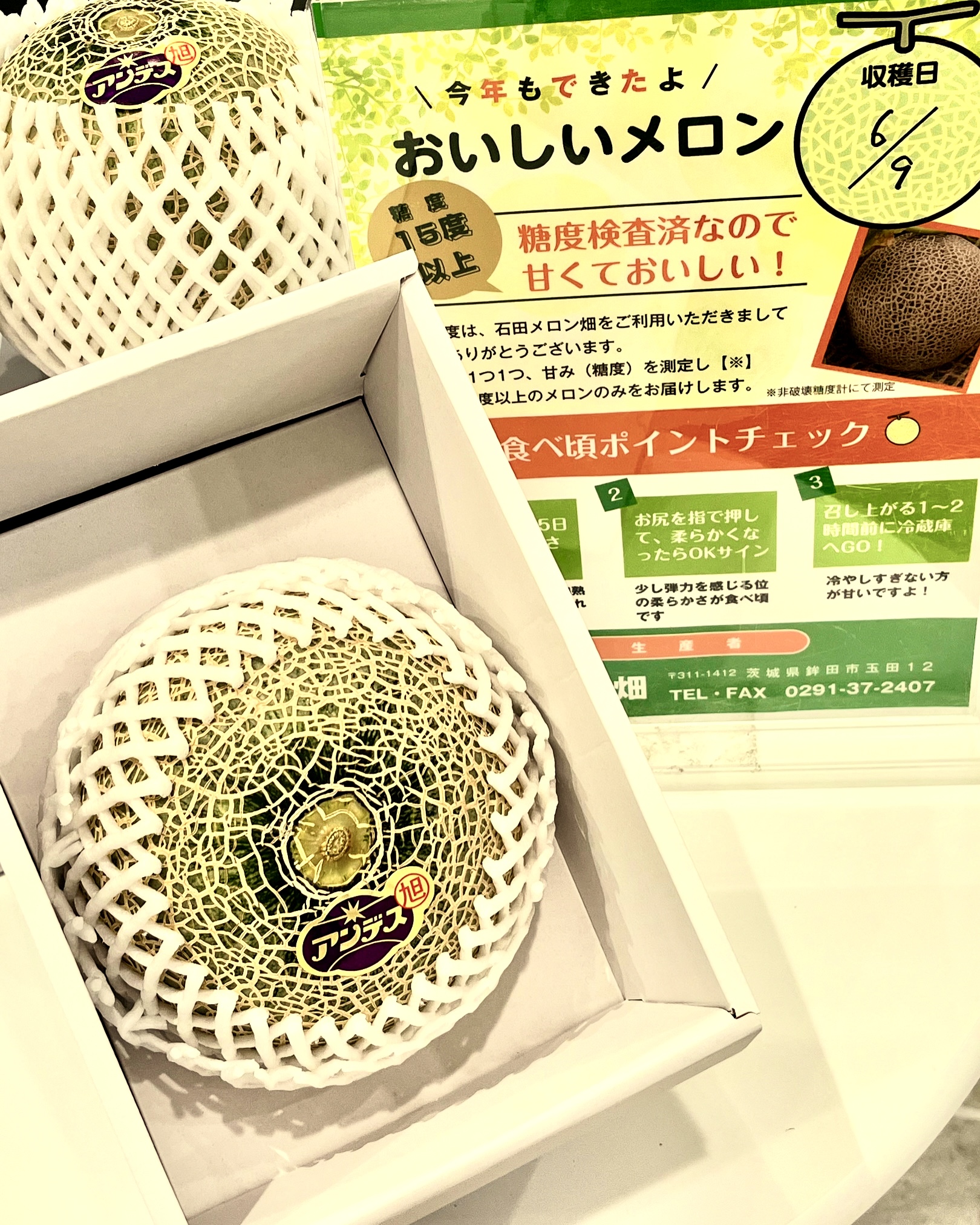 茨城県産アンデスメロン