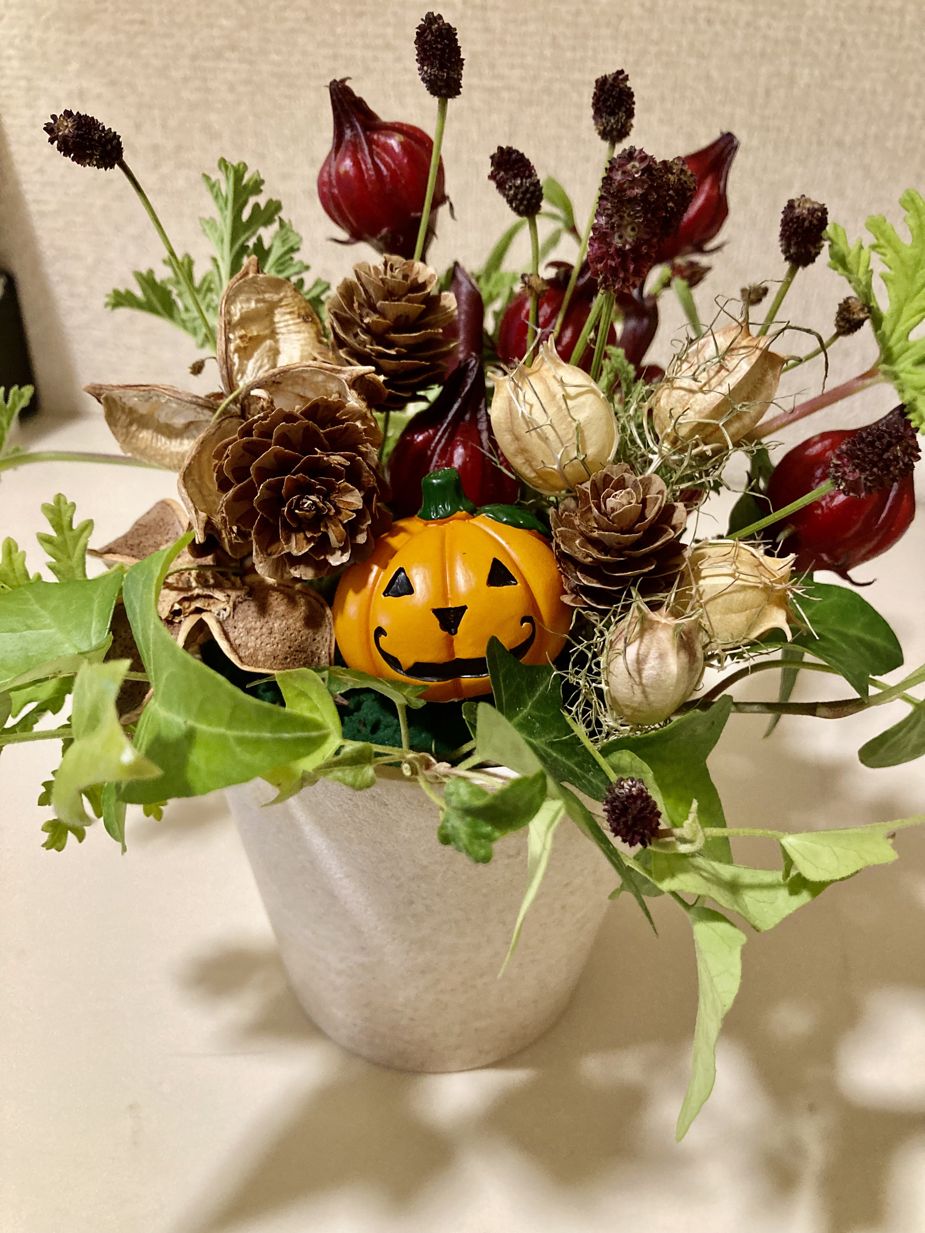 終了10/24•終了9/13•終了8/22 【講習会報告】認知症ケア ガーデンセラピー