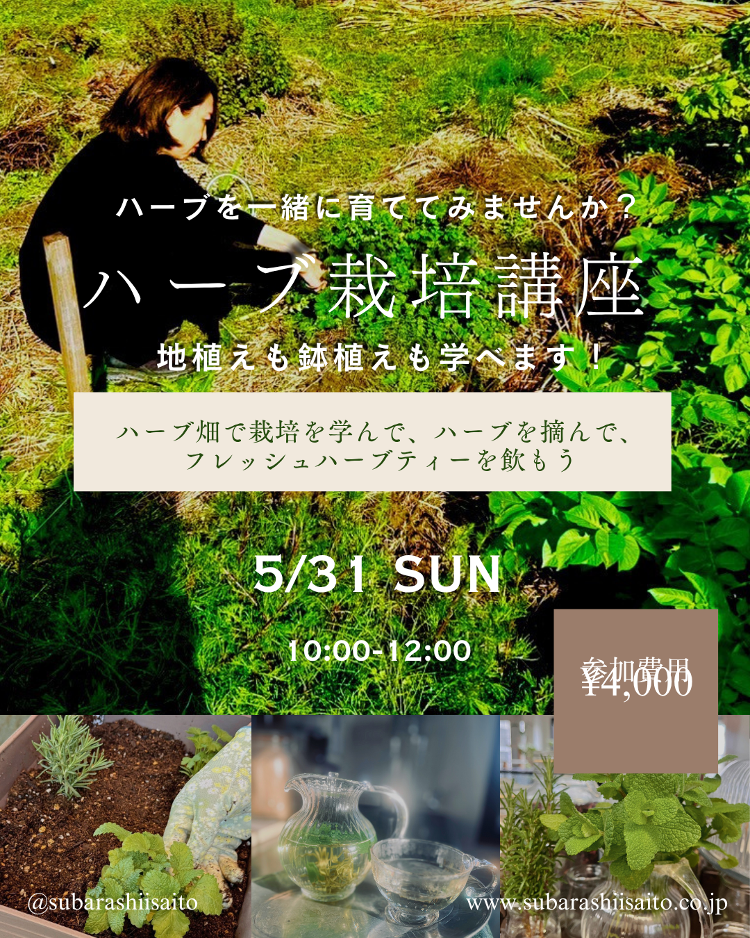 ハーブ栽培講座(京都市から一宮市へ)
