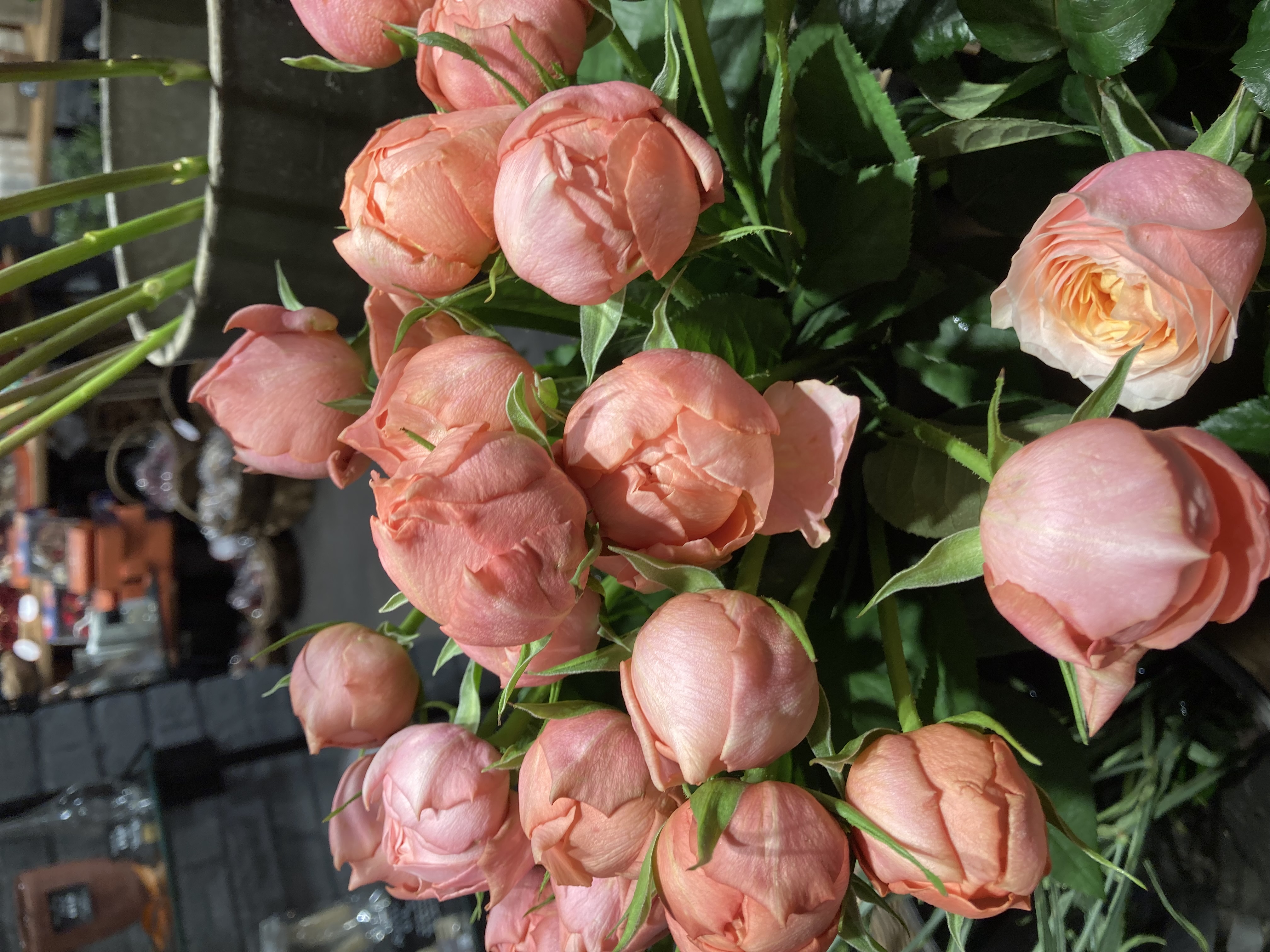 鴇色〜尚花の色