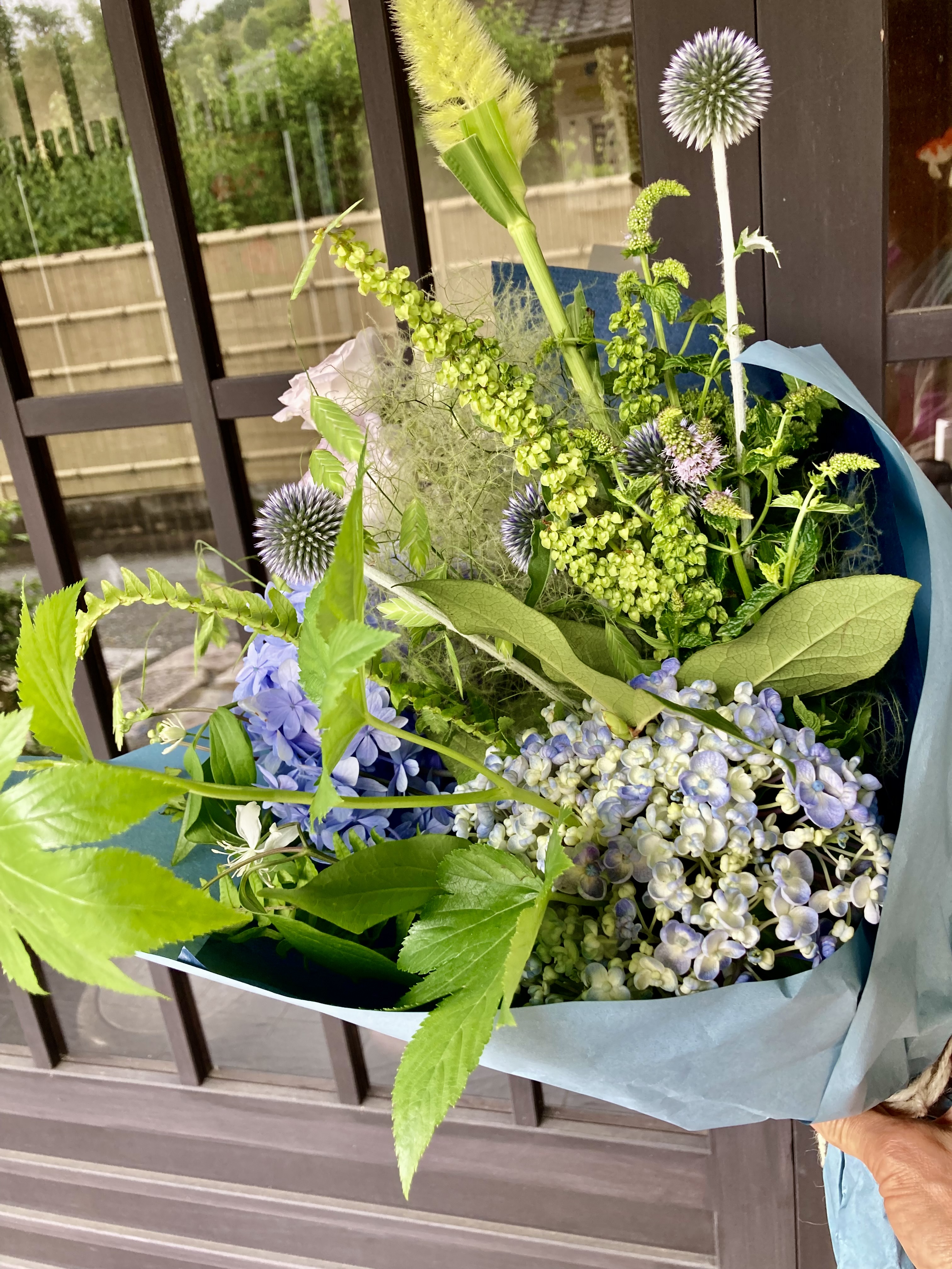梅雨の頃〜アジサイ