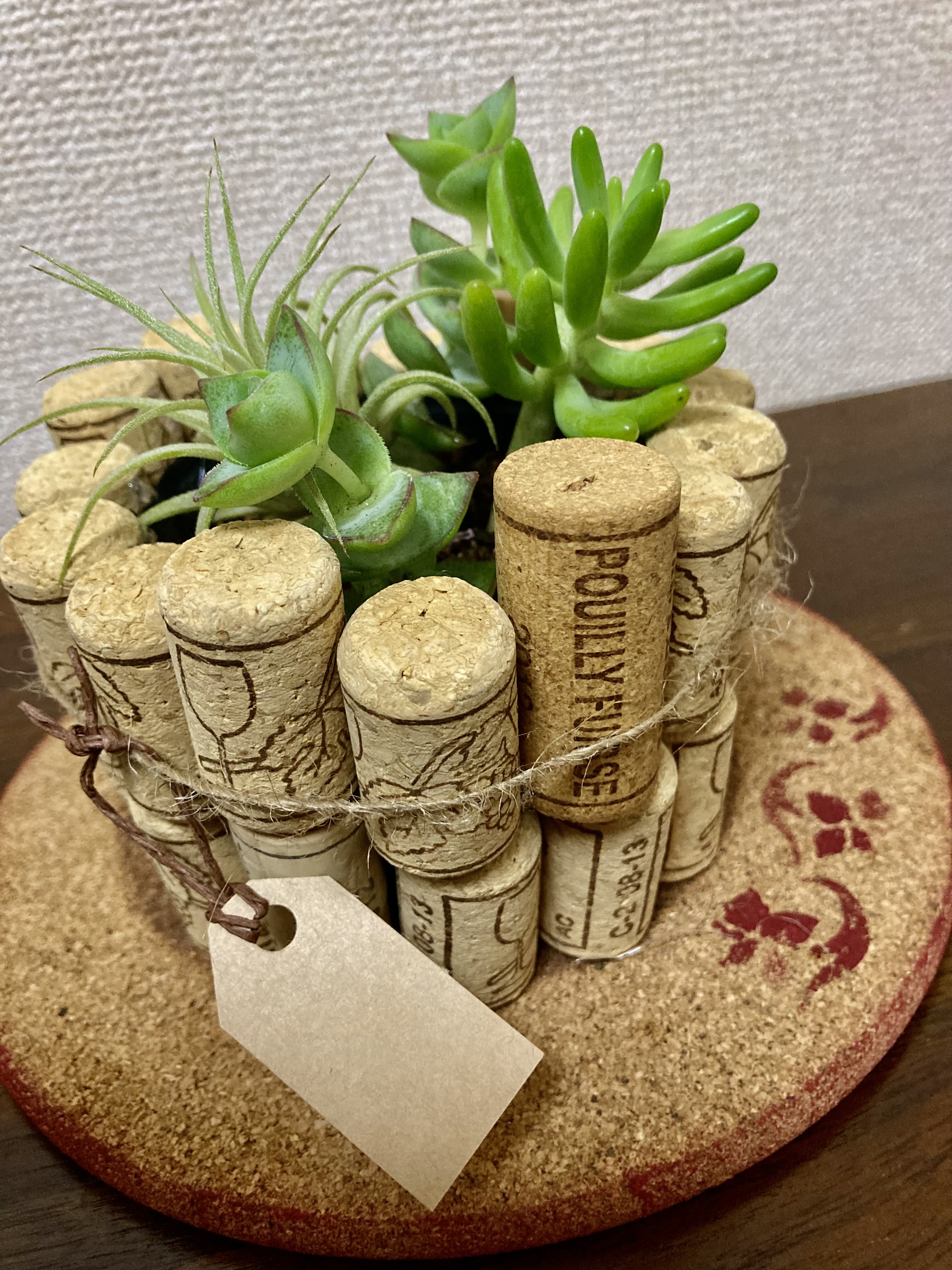 終了【イベント】コルク&多肉植物のアレンジ