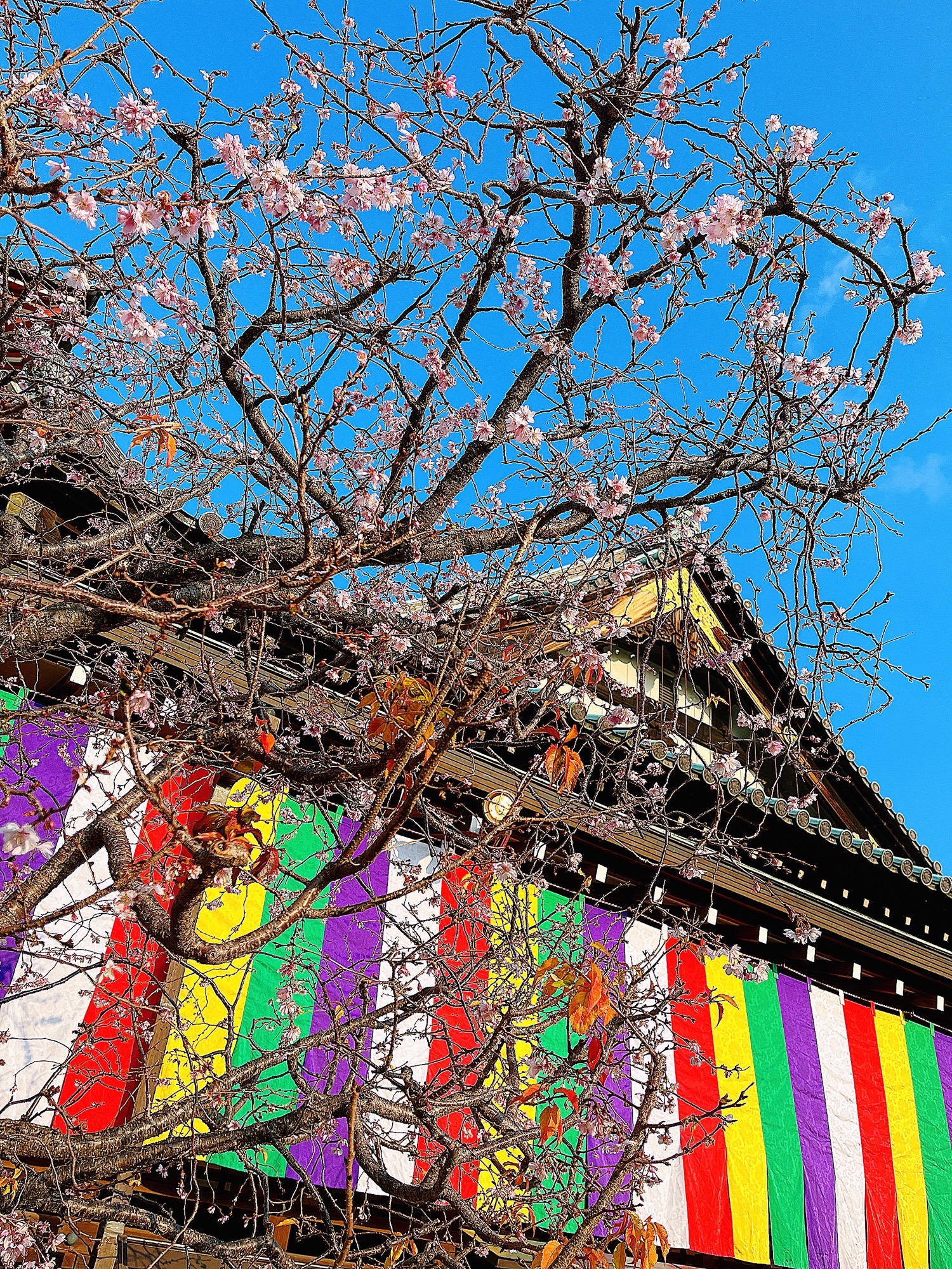 新年のご挨拶🎍