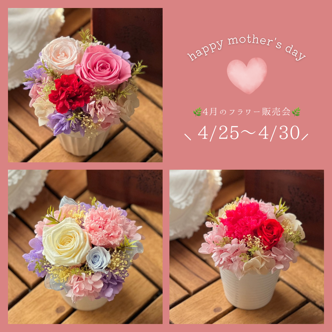 4月のフラワー販売会のお知らせ🧸
