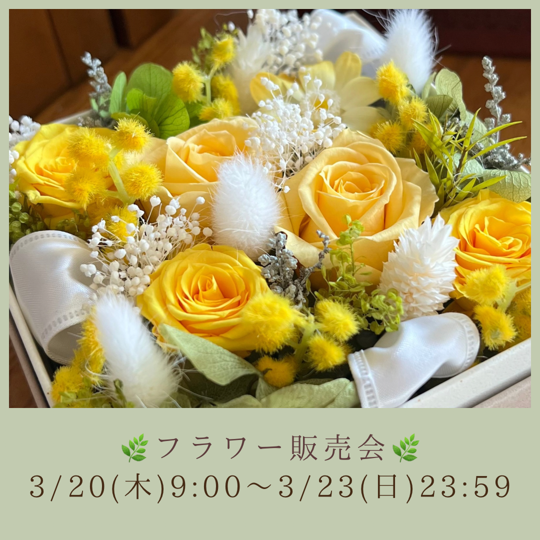 3月のフラワー販売会のお知らせ🕊️