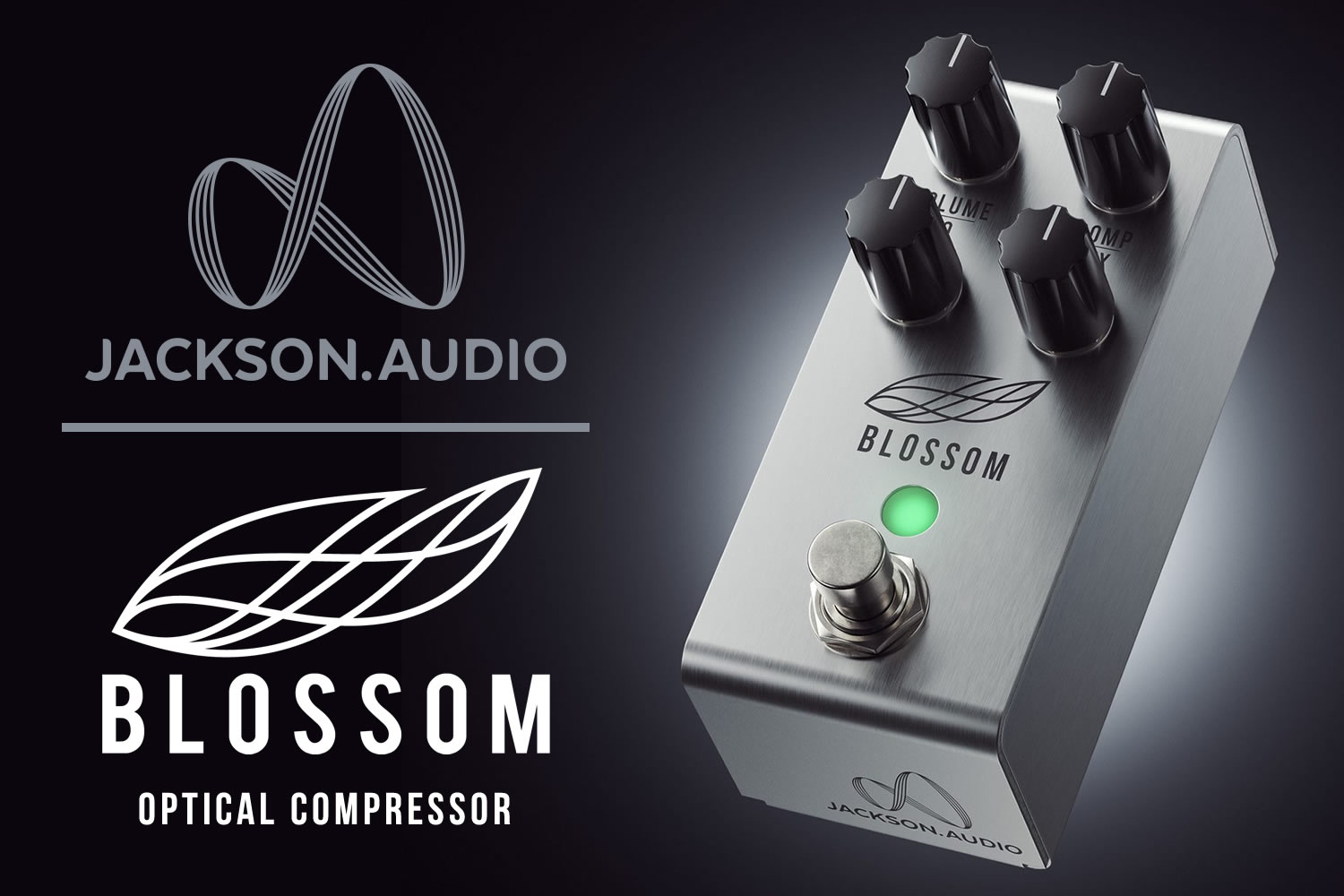 ジャクソン・オーディオによるシンプルで扱いやすいオプティカル・コンプレッサー「BLOSSOM」!