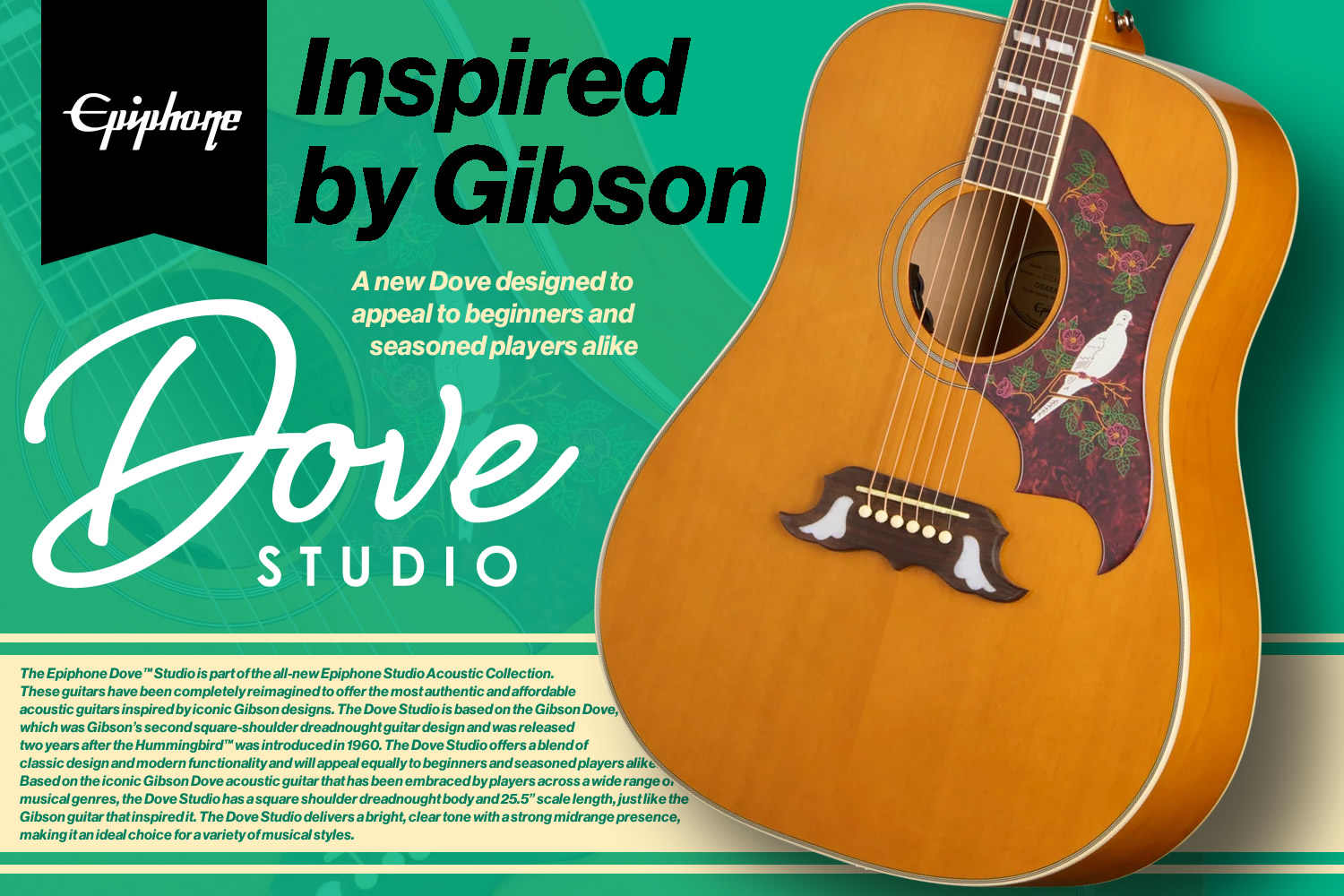 渋いナチュラル登場!ギブソン直系エピフォンによる「Dove Studio」!