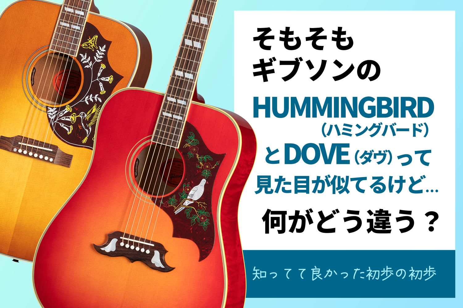【コラム】ギブソン・ハミングバードとダヴの違いについて