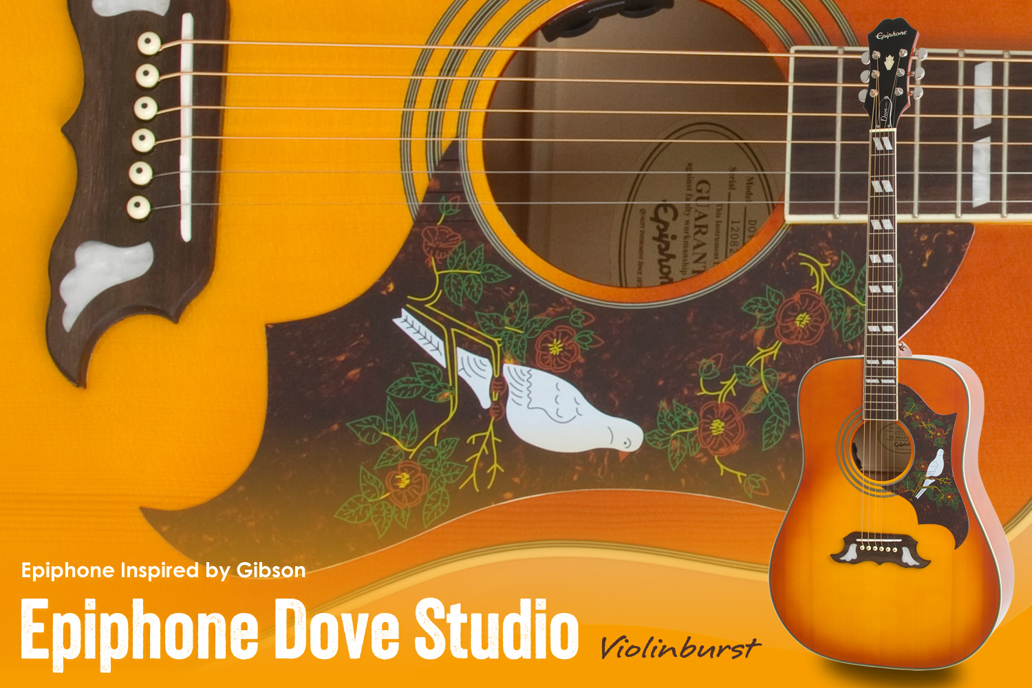ギブソン直系エピフォンによるダヴ、「Epiphone Dove Studio」！