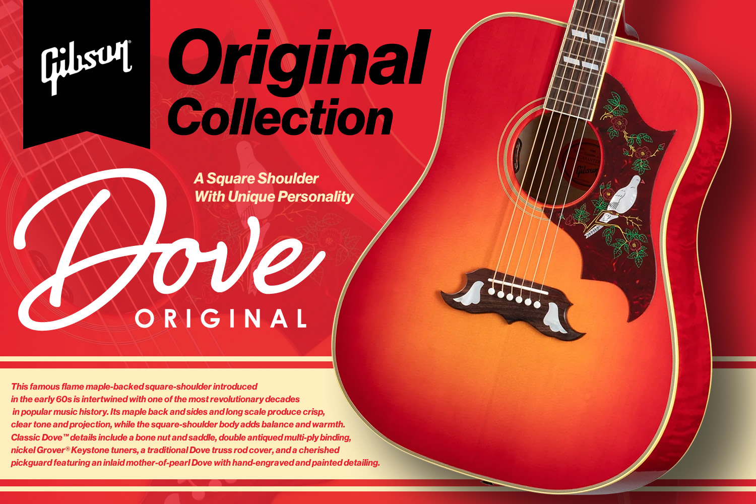 圧倒的個性と高級感を放つ逸品、ギブソン「Dove Original」!