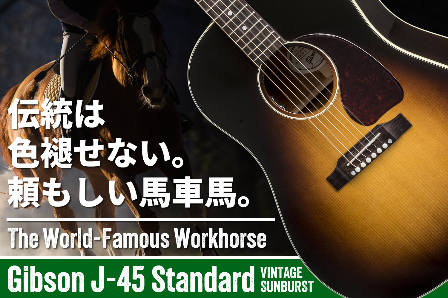 まさにアコースティックギターの大定番、ギブソン「J-45 Standard」！