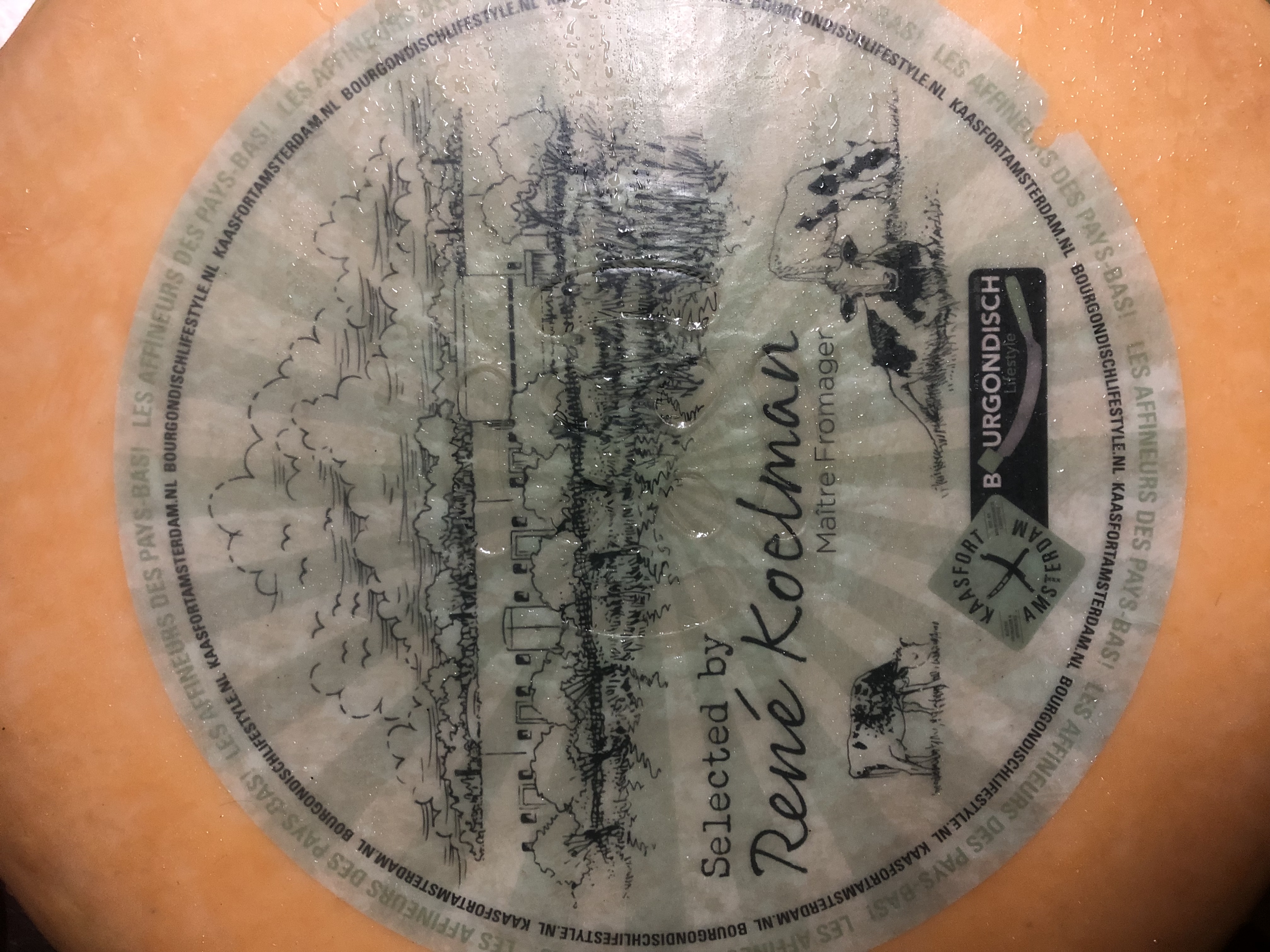 🧀チーズカッティング🧀