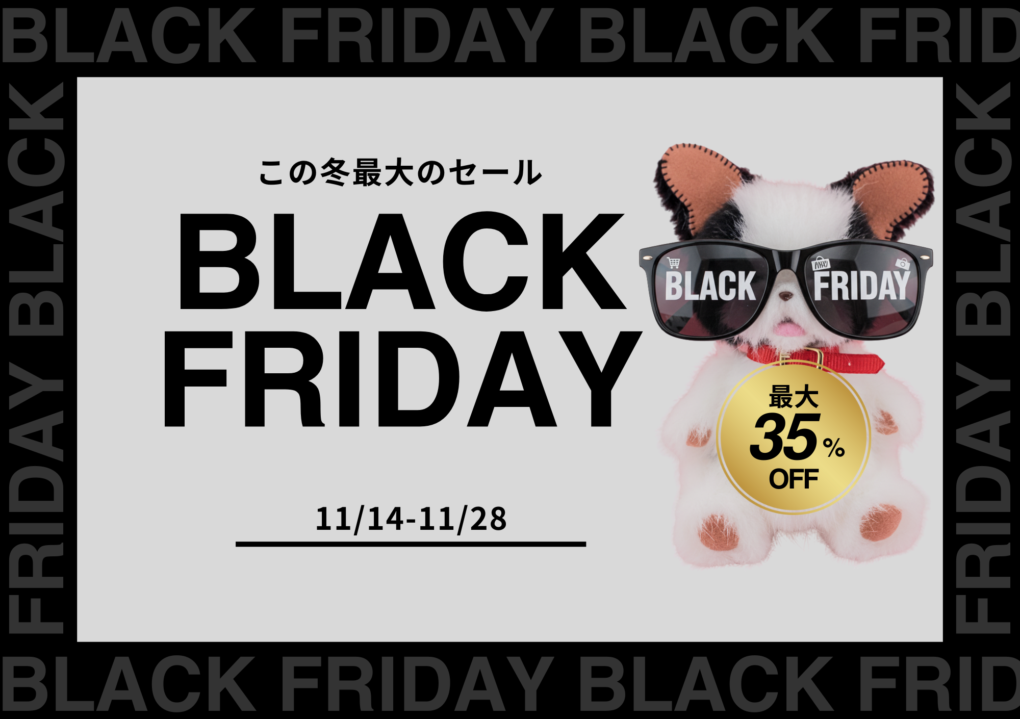 BLACK FRIDAY開催中!