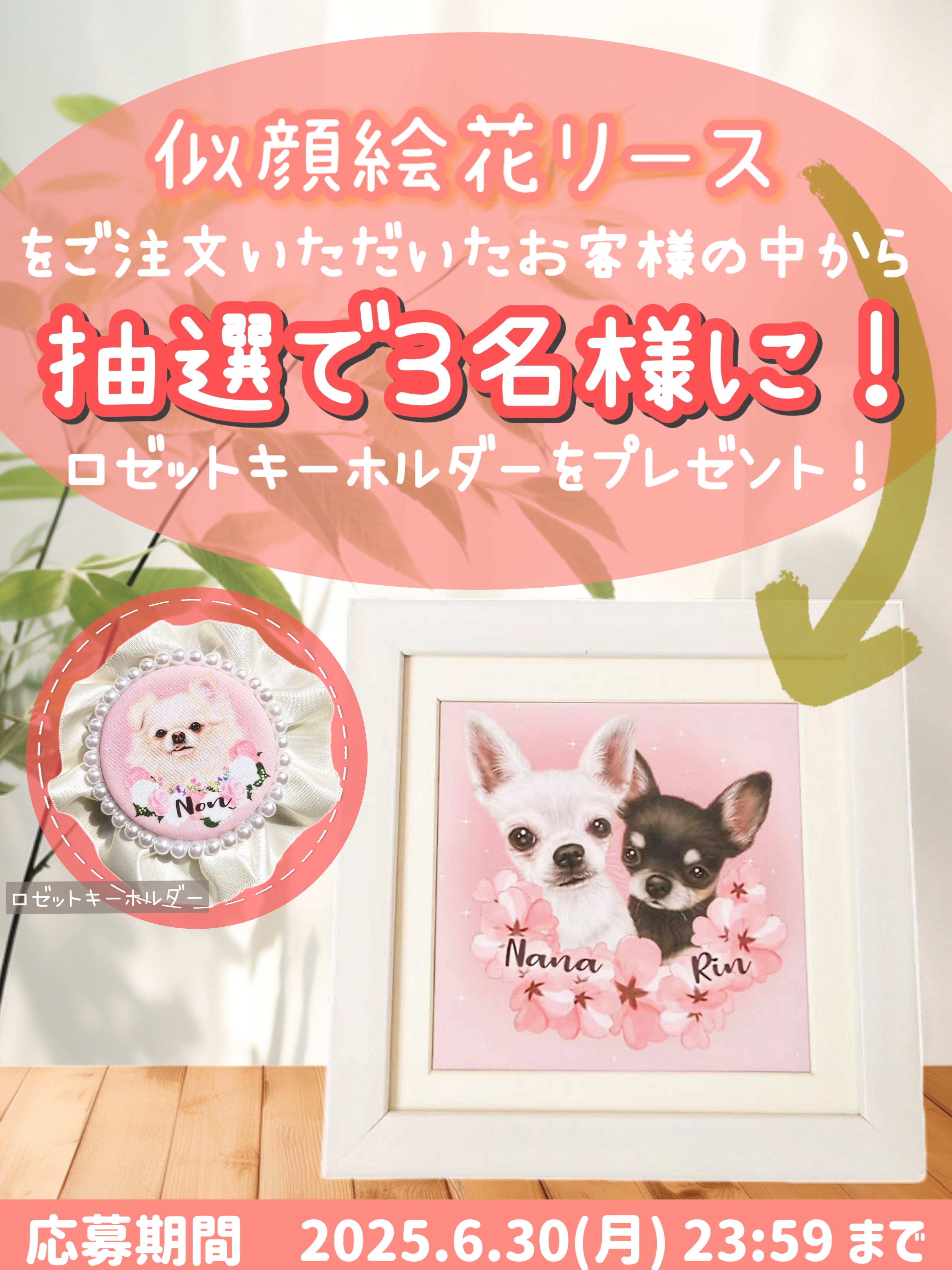 キャンペーン開催中！
