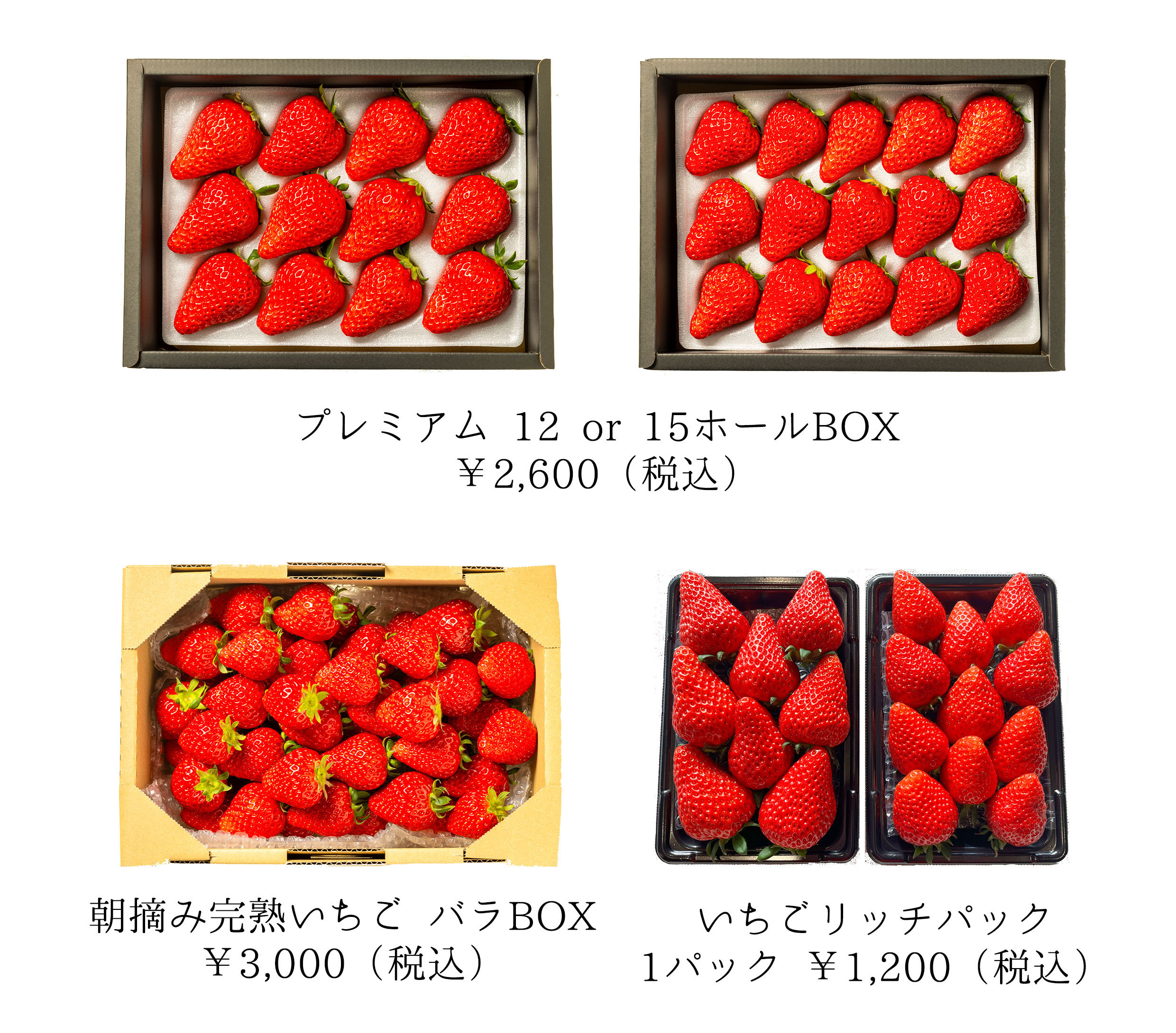 2024/12～2025/5：いちごシーズンについて