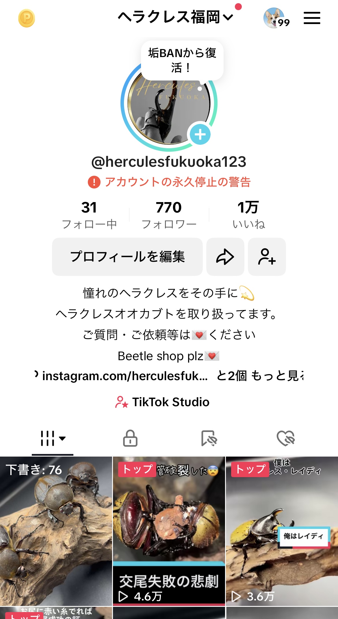 【TikTok復活のお知らせ✨】
