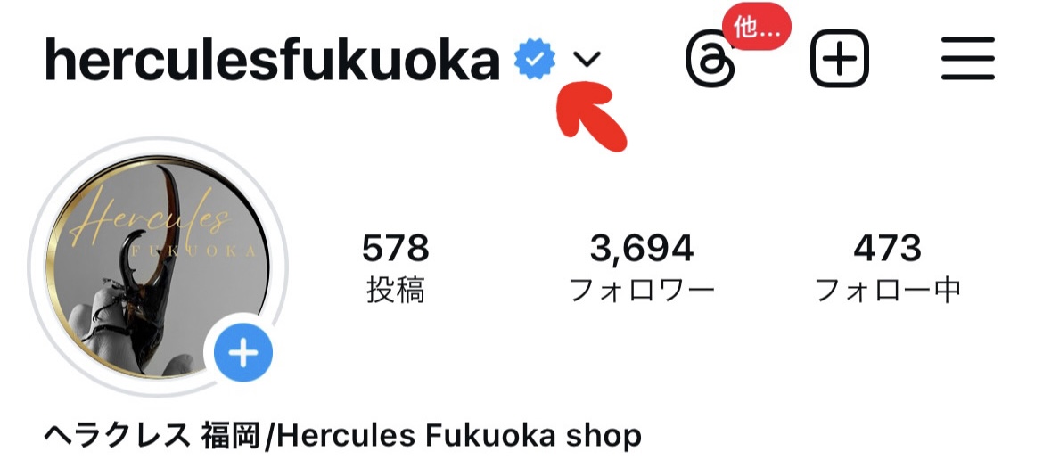 Instagramに公式認証バッチが付きました💫