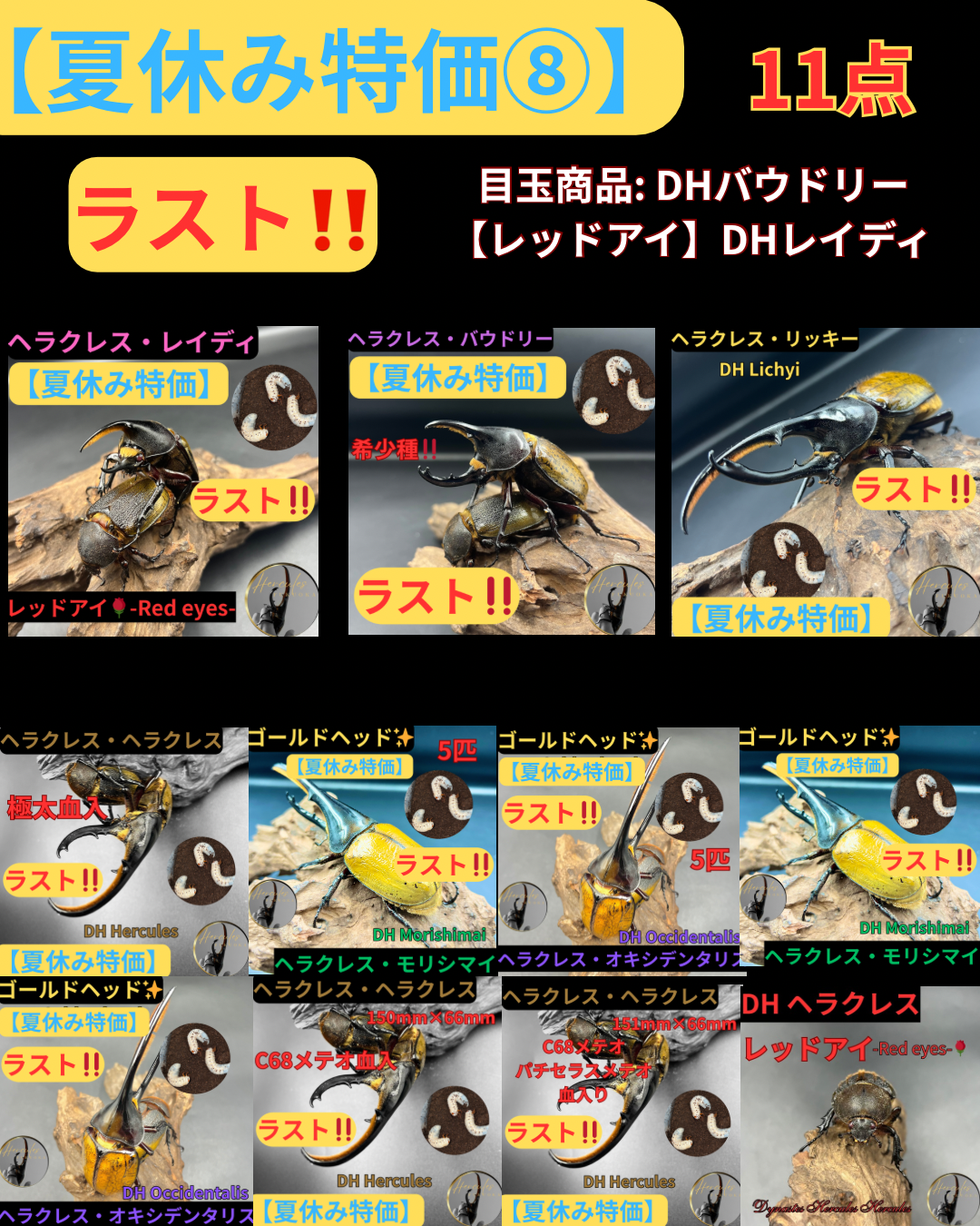 【ラスト‼️】11点夏休み特価⑧✨